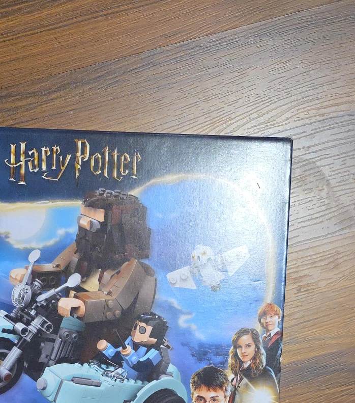 LEGO Harry Potter Hagrid's Magical Creatures 76428