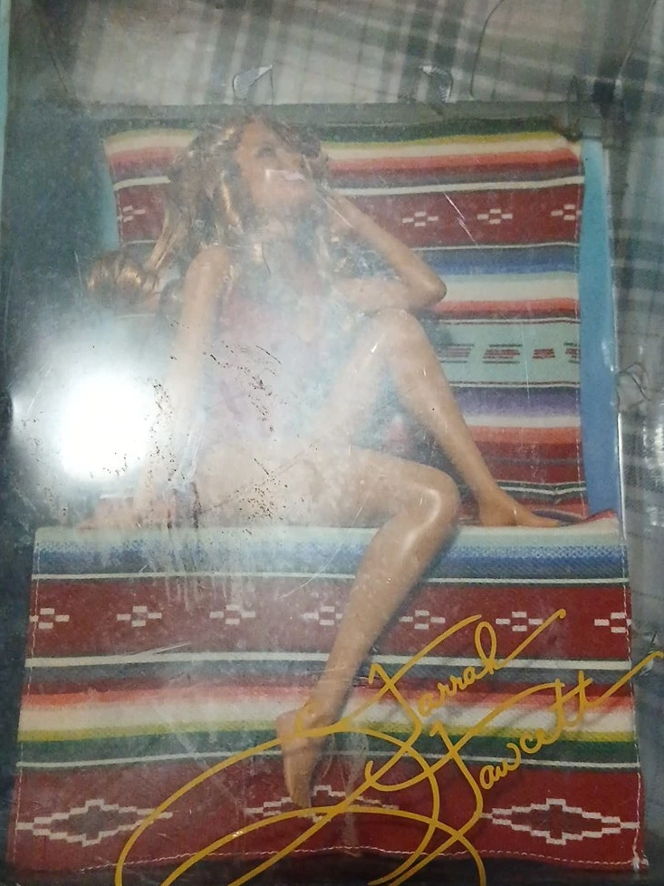 Farrah Fawcett doll
