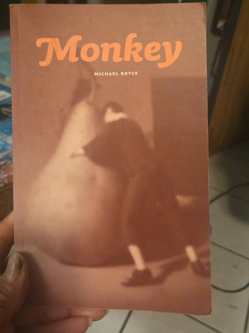 Monkey by Michael Boyce