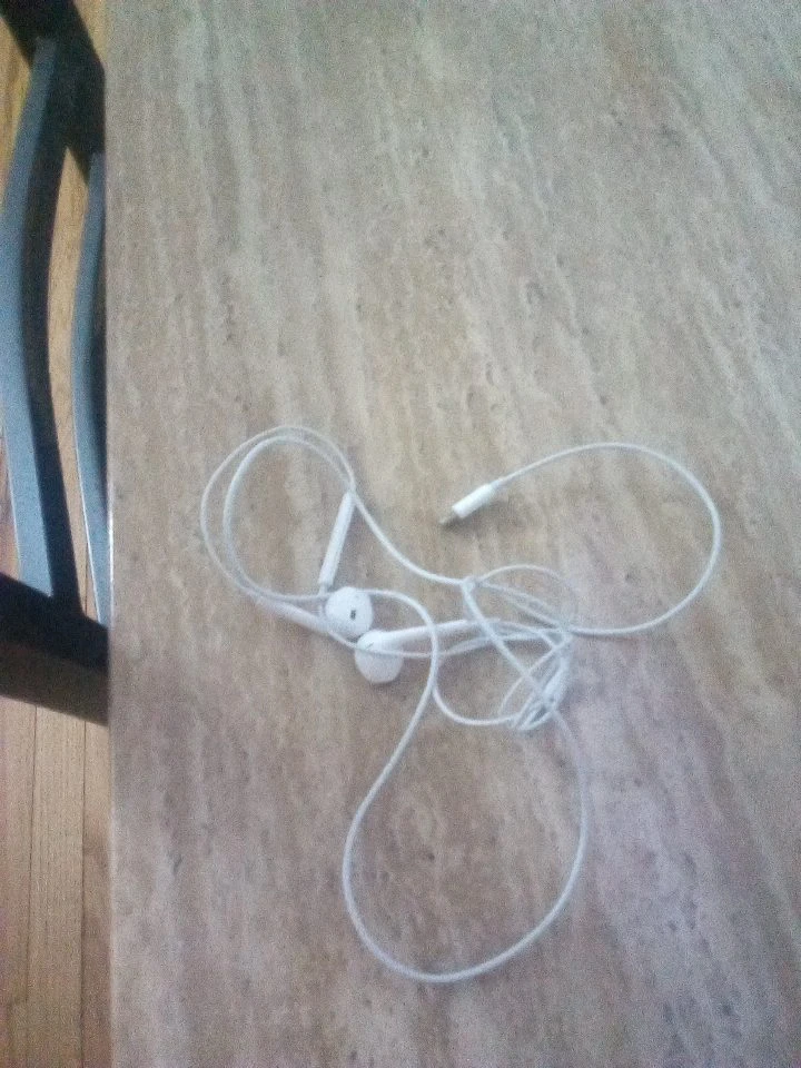 Apple EarPods with 3.5mm Headphone Plug