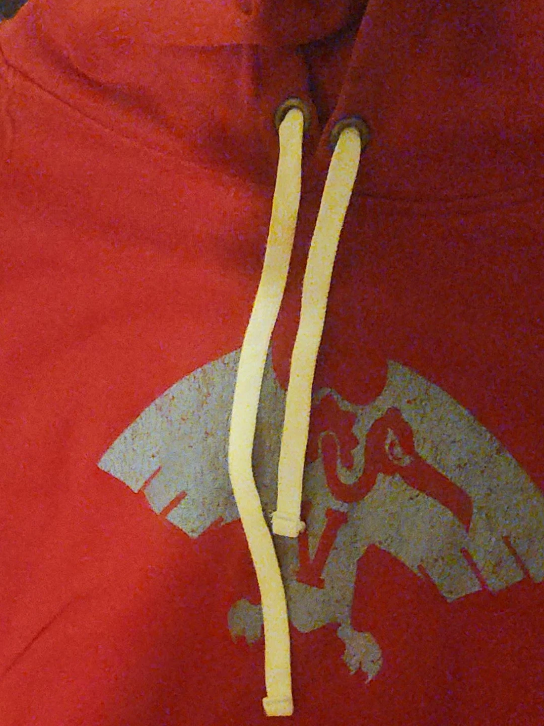 Red Hoodie with Eagle Design