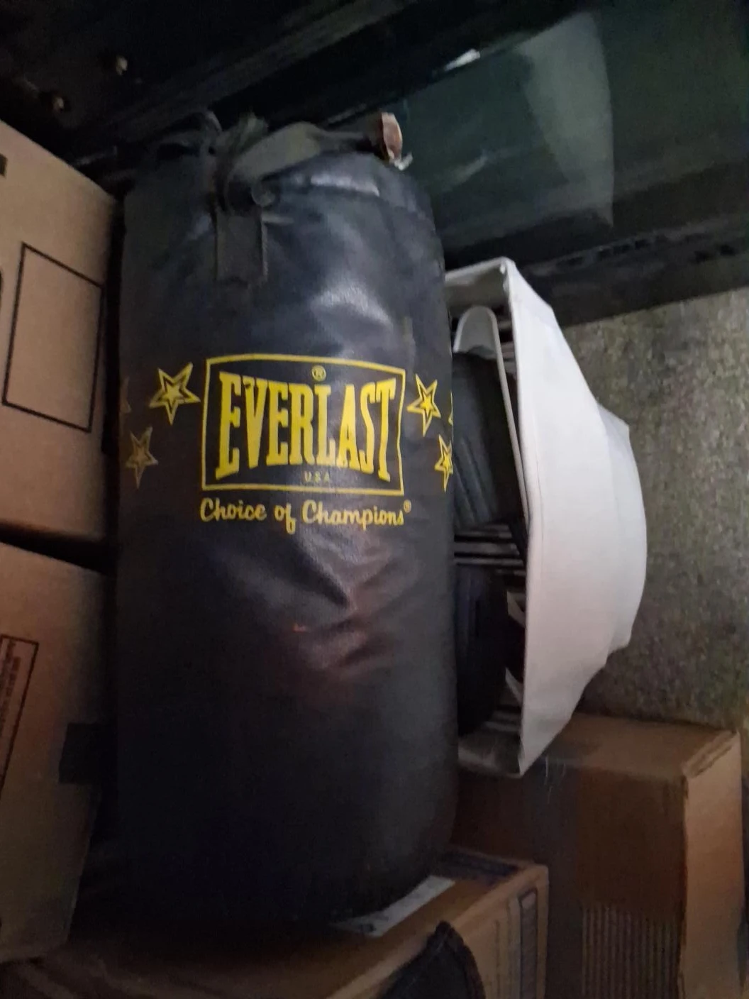 Everlast Heavy Punching Bag