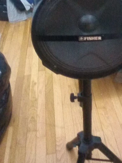 Fisher Speaker