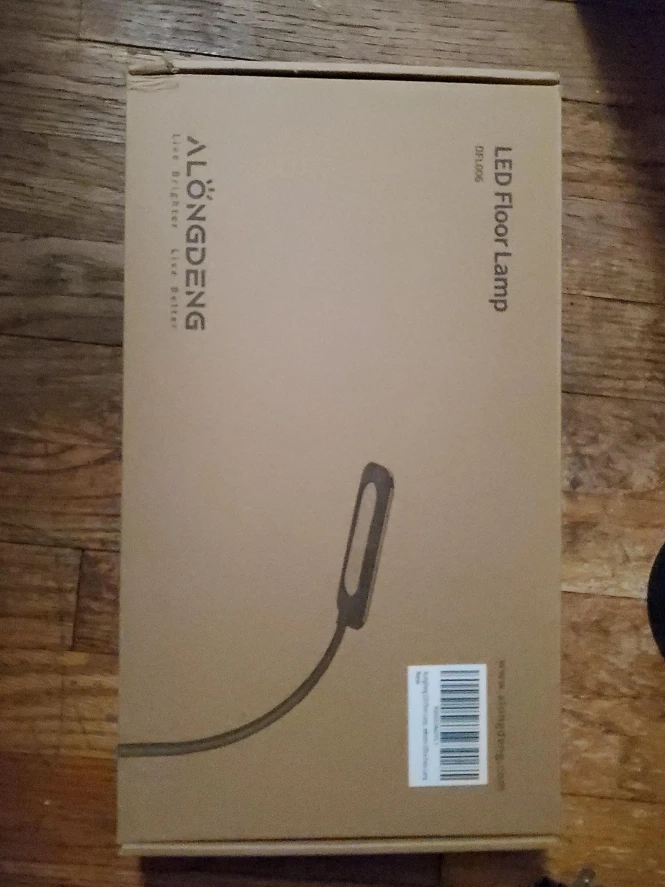ALONGDENG DFL006 LED Floor Lamp - New in Box!