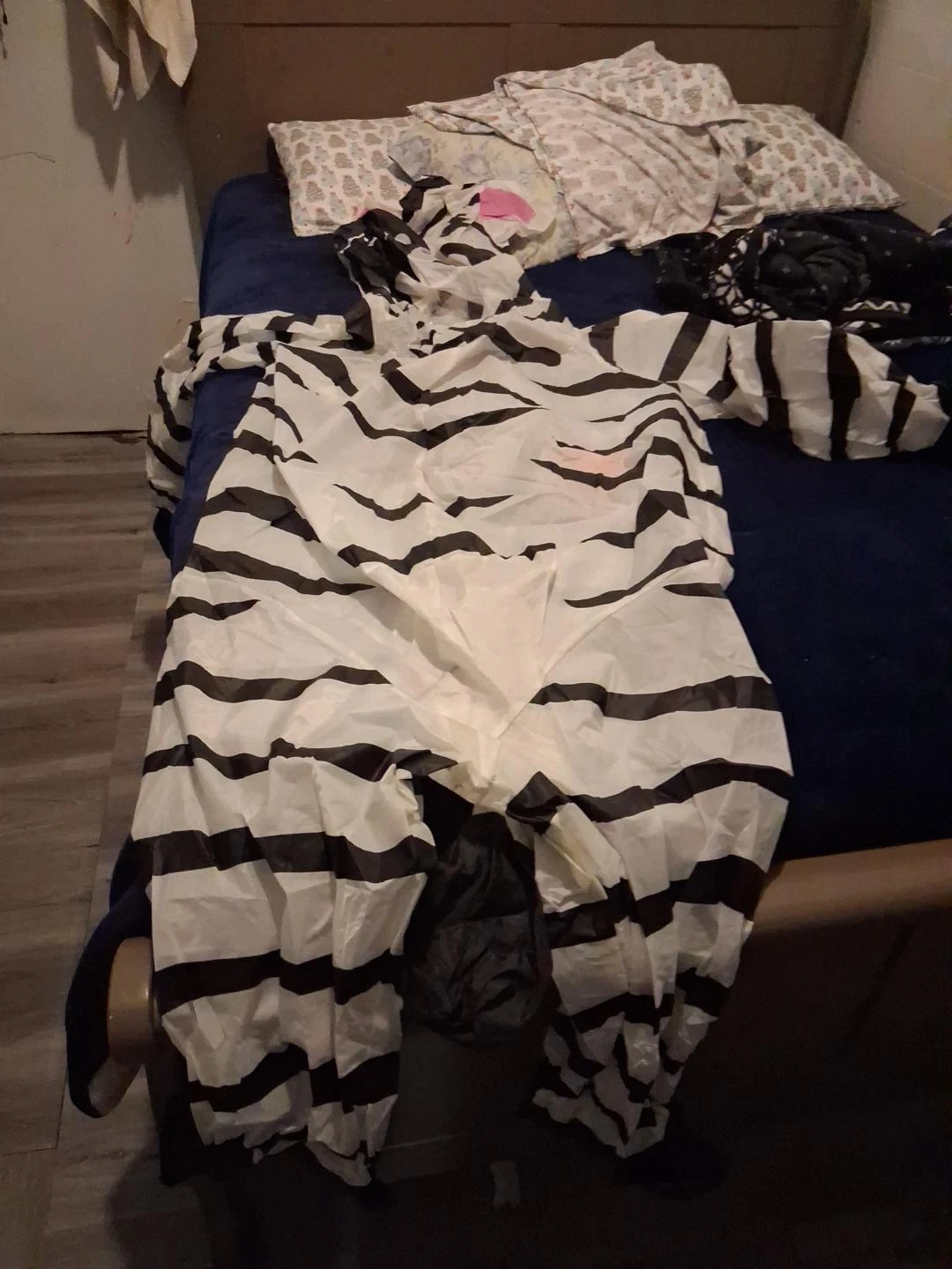 Zebra Inflatable Costume