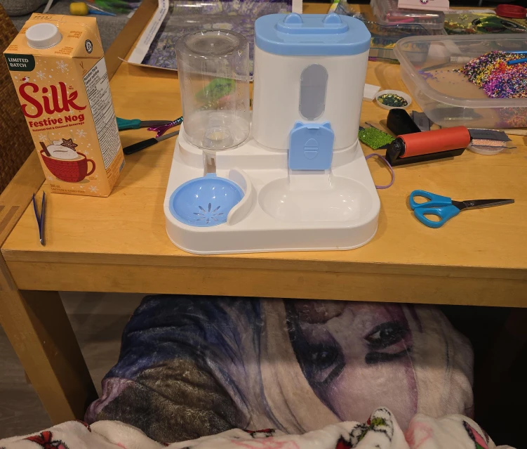 Automatic Pet Feeder Water Dispenser