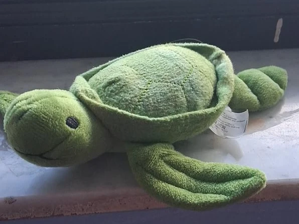 Green Plush Turtle Toy