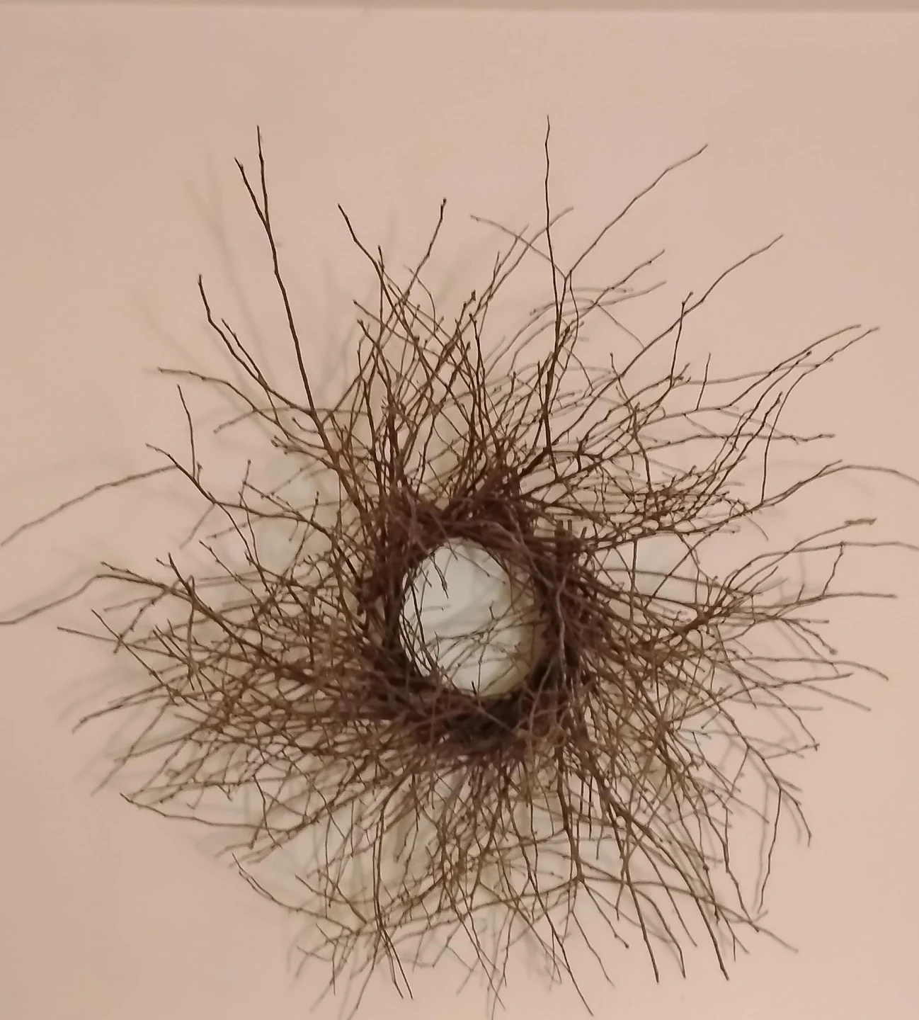 Decorative Twig Wreath