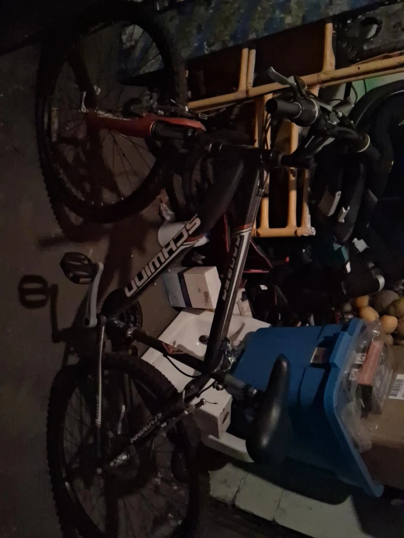 Schwinn Amara 21-Speed Steel Frame Mountain Bike