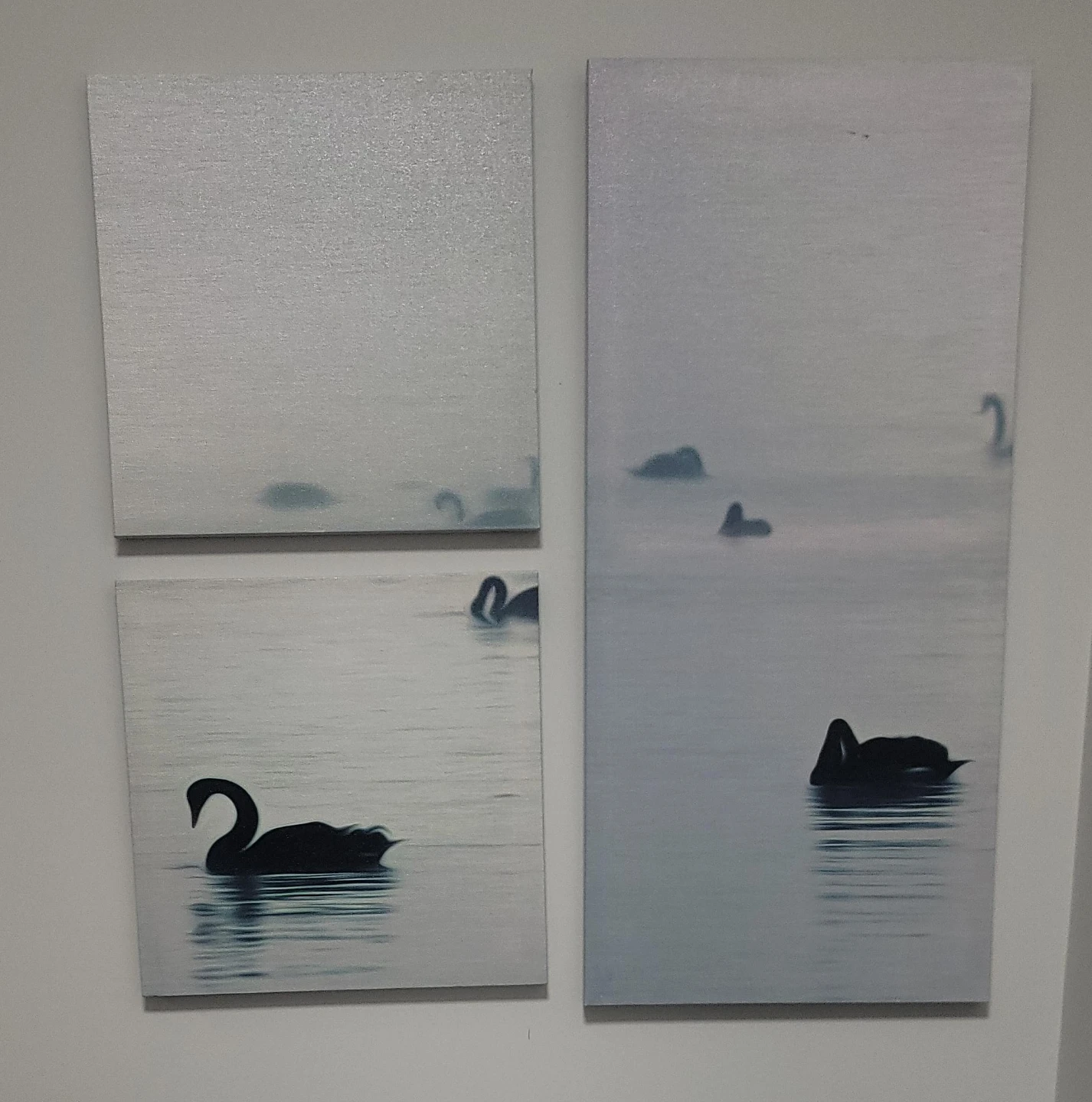 Swan Canvas Art Set