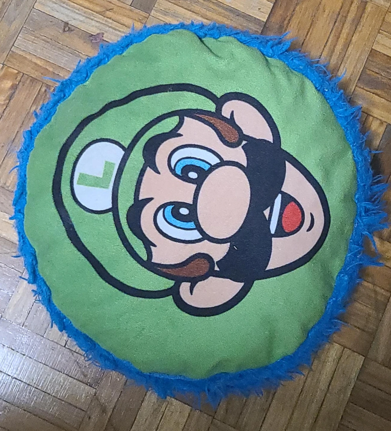 Mario & Luigi Pillow