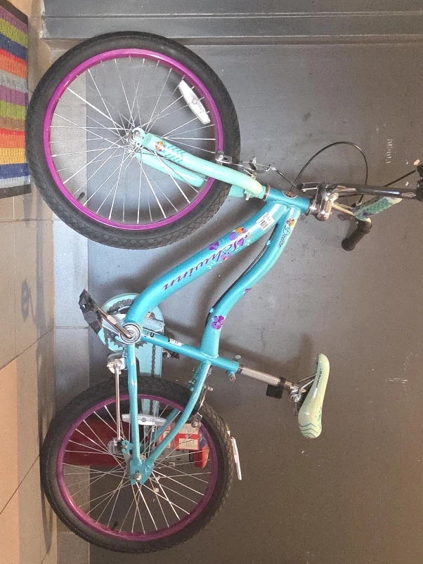 Schwinn Destiny Girls' Bike - Blue & Purple