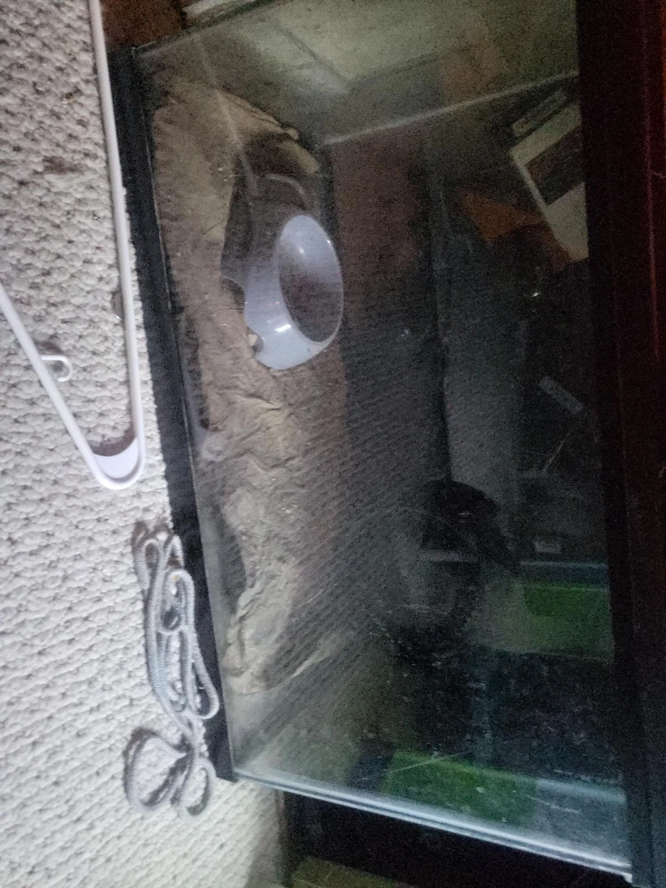 Used reptile 10gal  with Accessories thumbnail