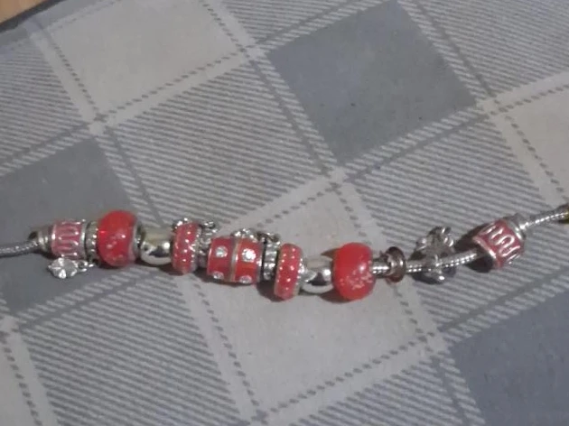 Red & Silver Charm Bracelet image indicator(1)