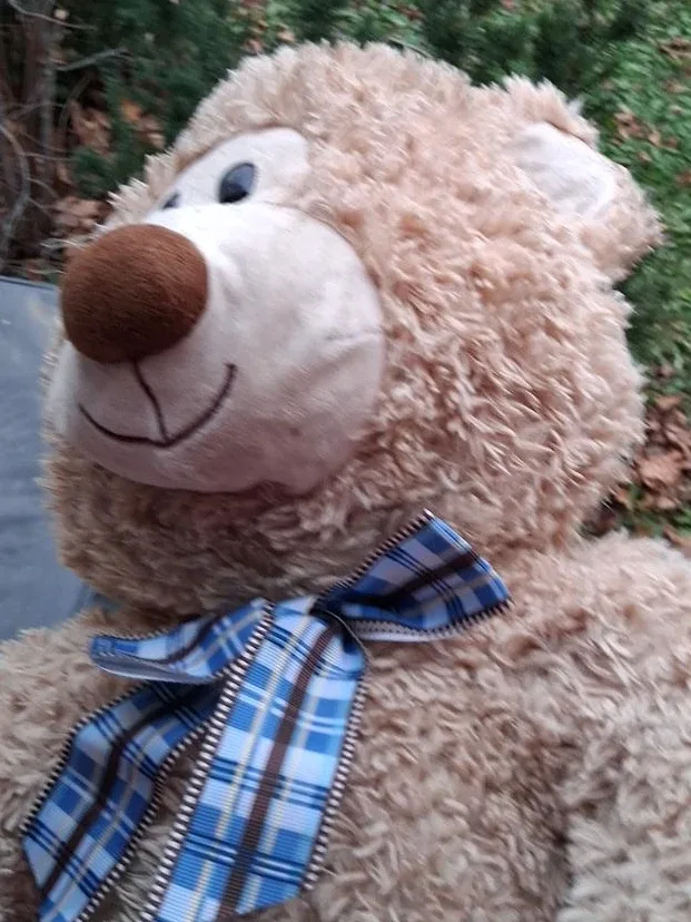 Plush Teddy Bear with Blue Plaid Ribbon
