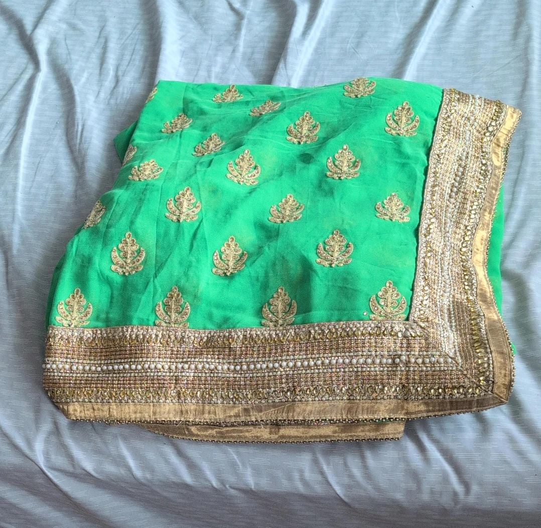 Green Saree with Gold Embroidery only saree