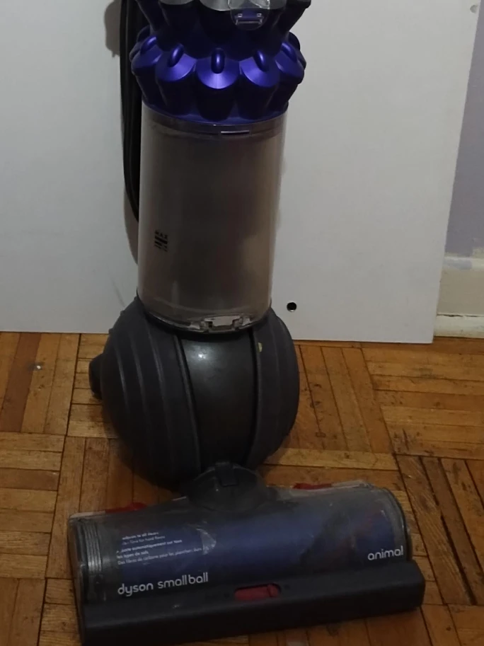 Dyson Small Ball Animal Vacuum