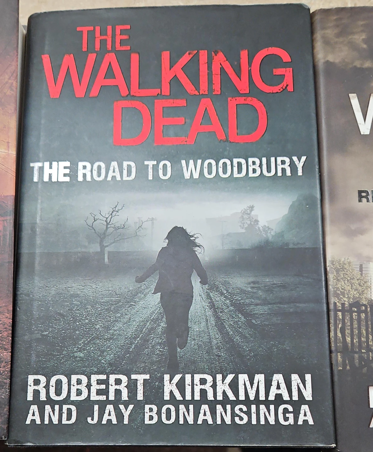 The Walking Dead: The Road to Woodbury by Robert Kirkman