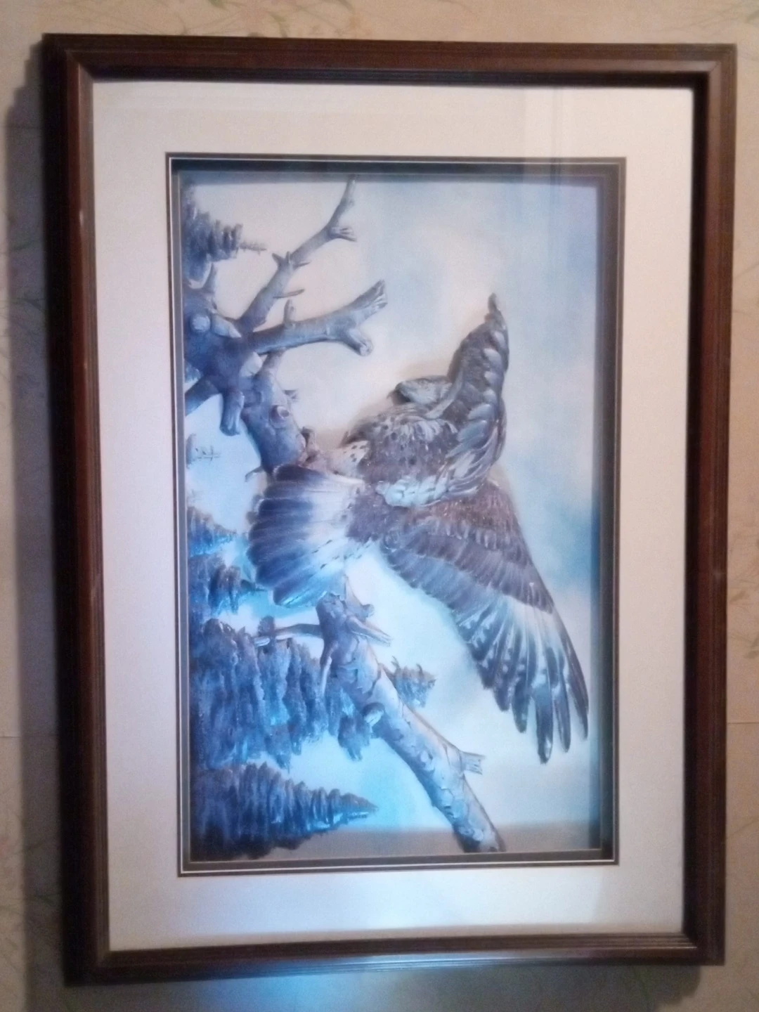 Framed 3D Wall Art - Eagle on Branch