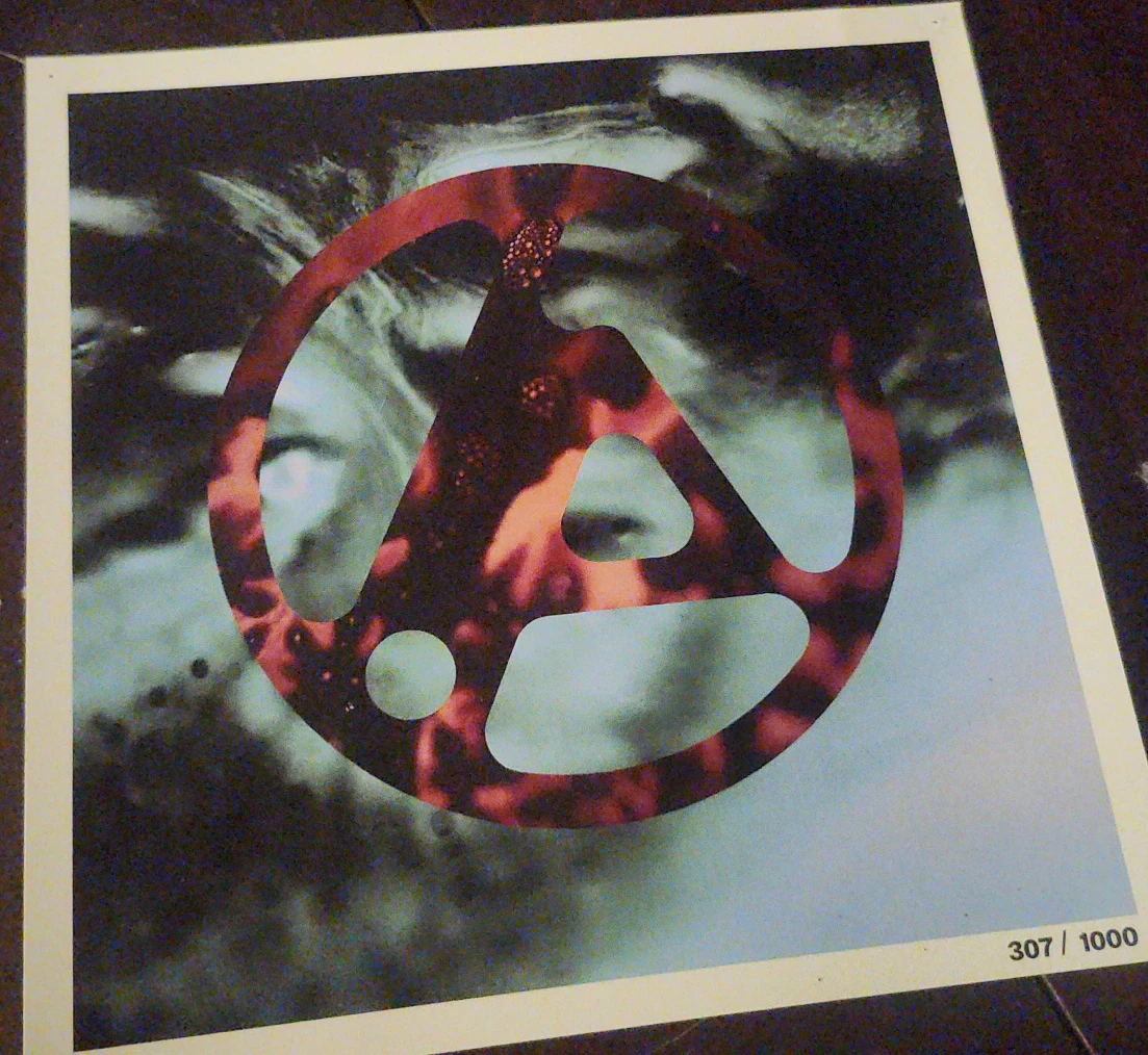 Linkin park print- Limited Edition 307/1000