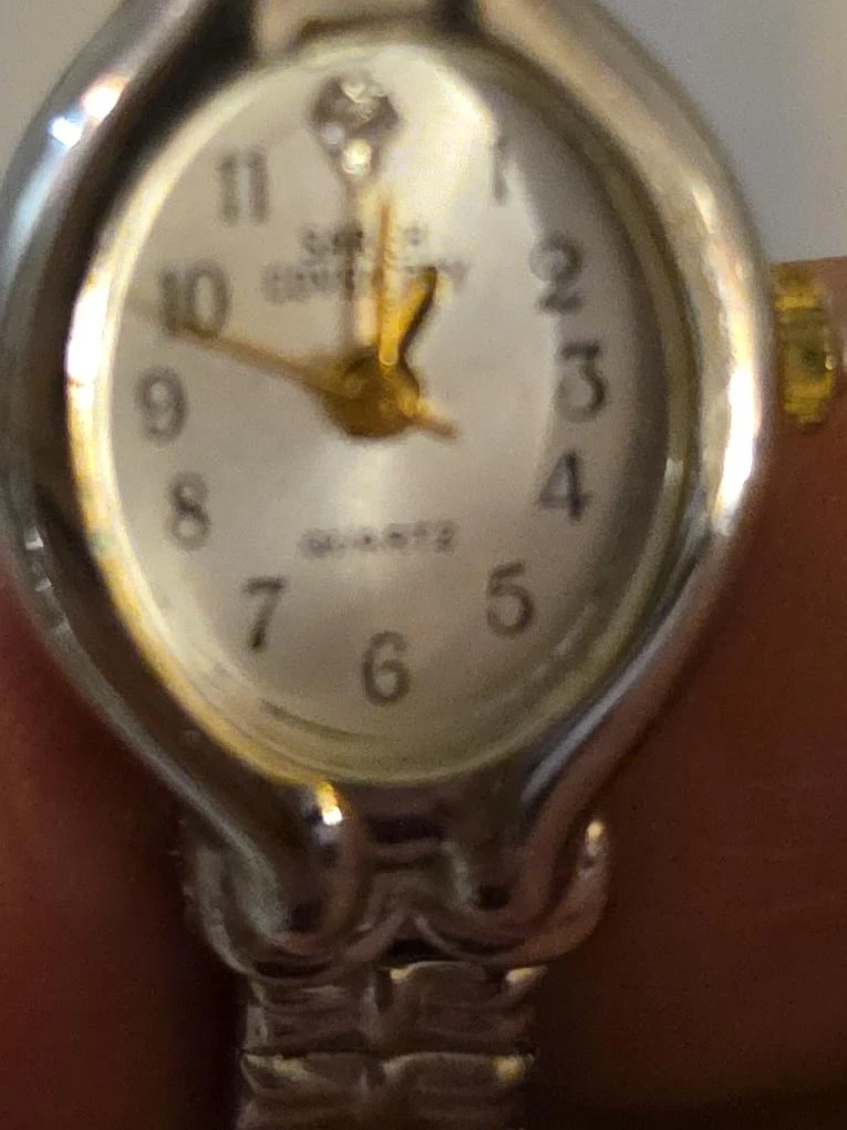 Sarah Coventry Quartz Ladies Watch image indicator(2)