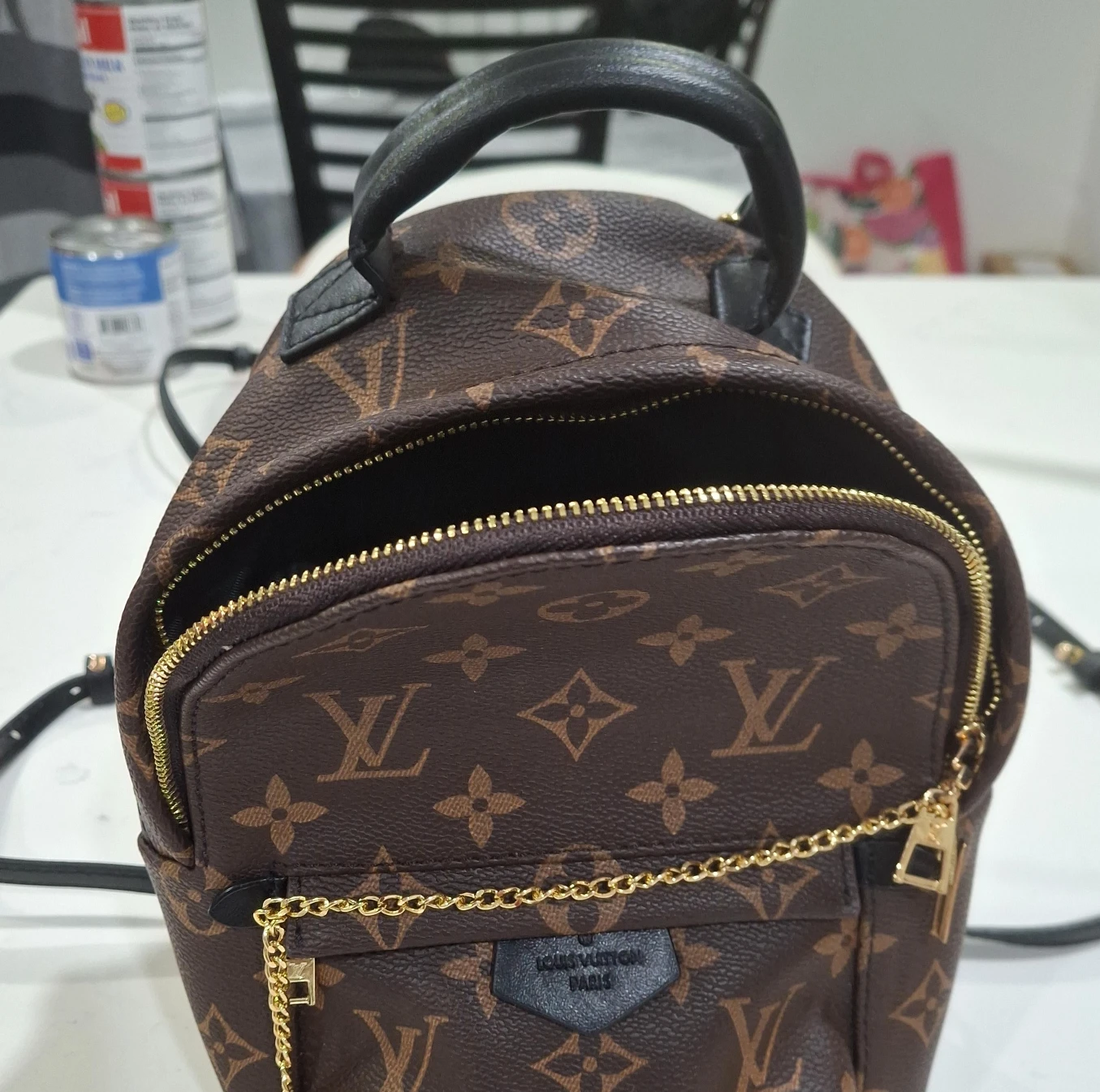 Louis Vuitton Palm Springs Mini Backpack