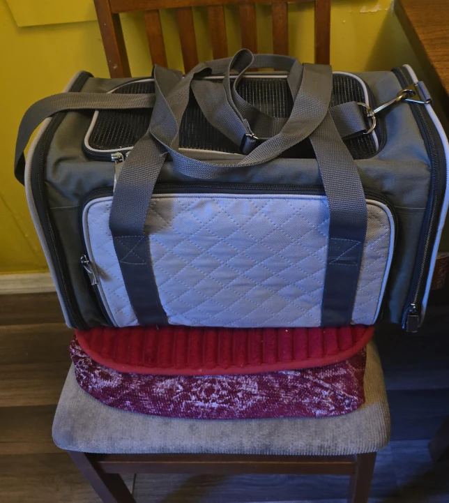 Gray Pet Carrier - Like New!