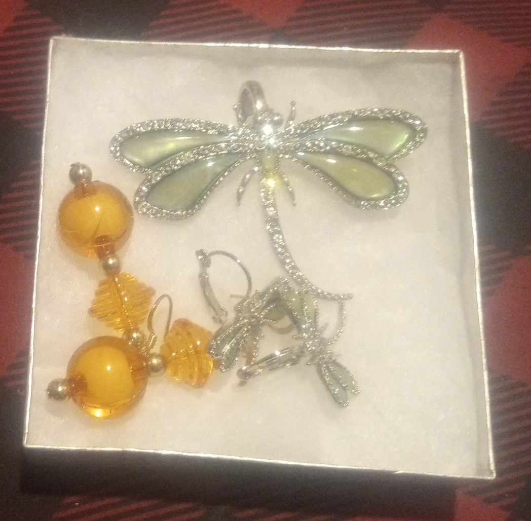 Dragonfly Brooch & Earrings Set