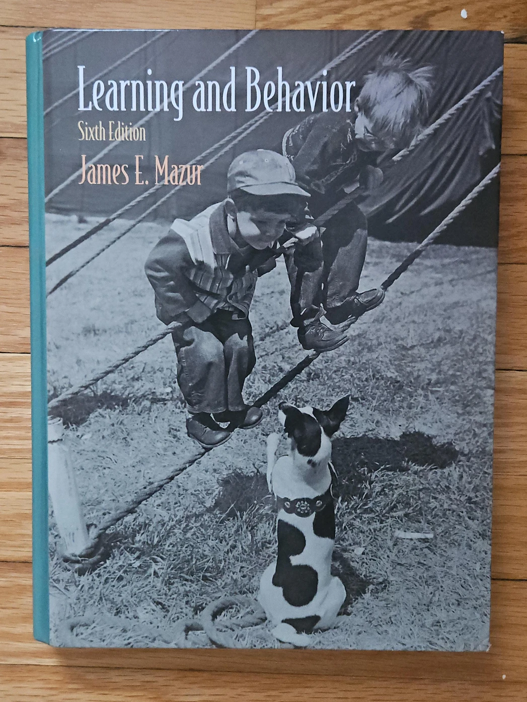 Learning and Behavior by James E. Mazur
