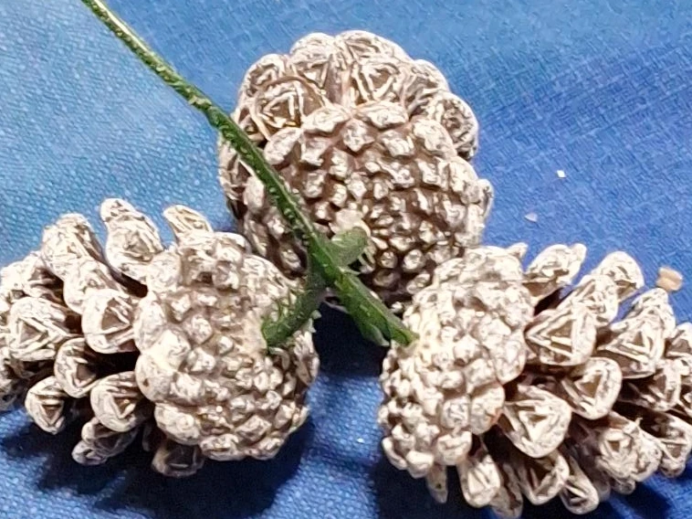 Pinecone Decoration
