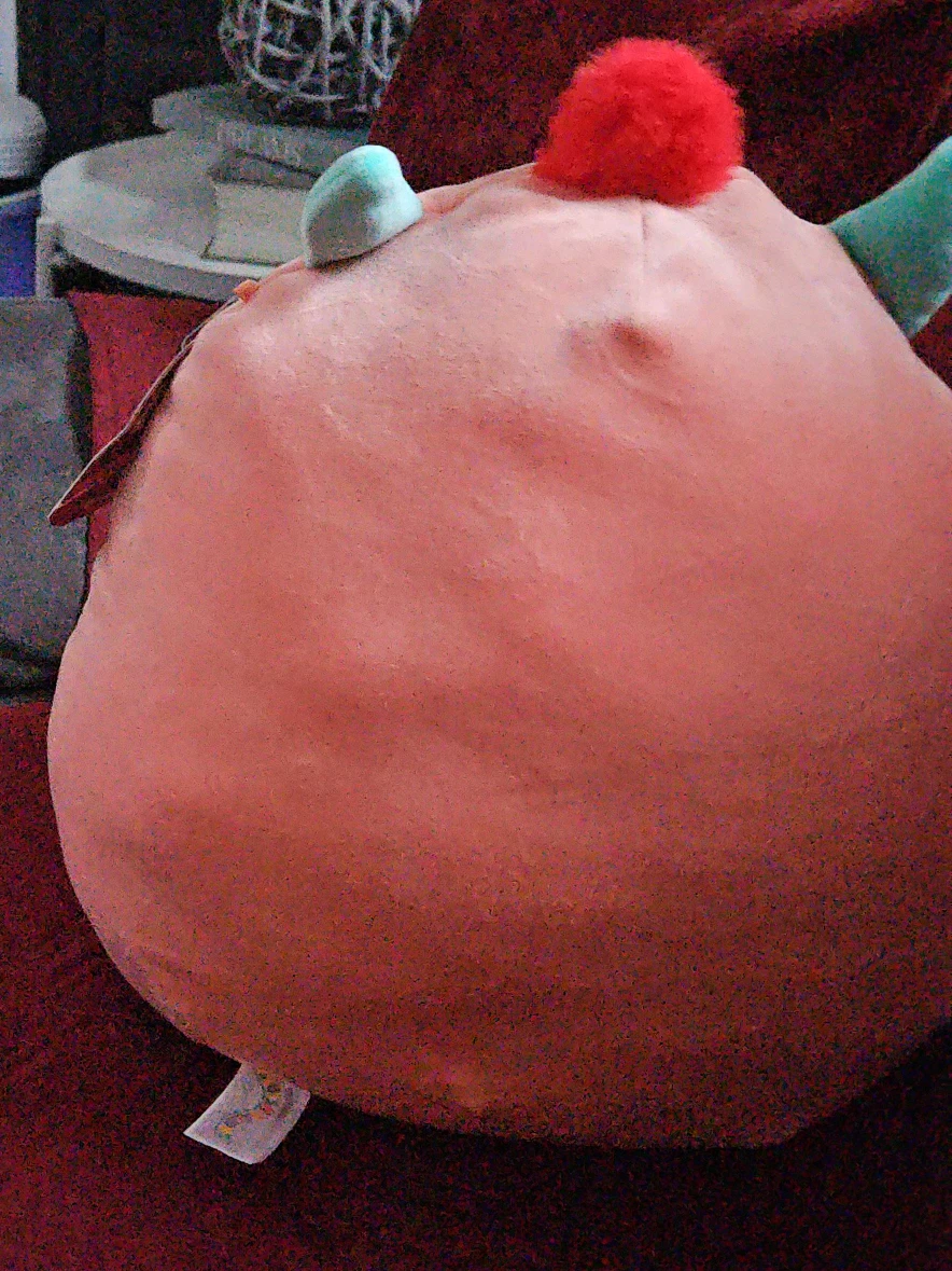 Squishmallow Willett Valentine's Plush