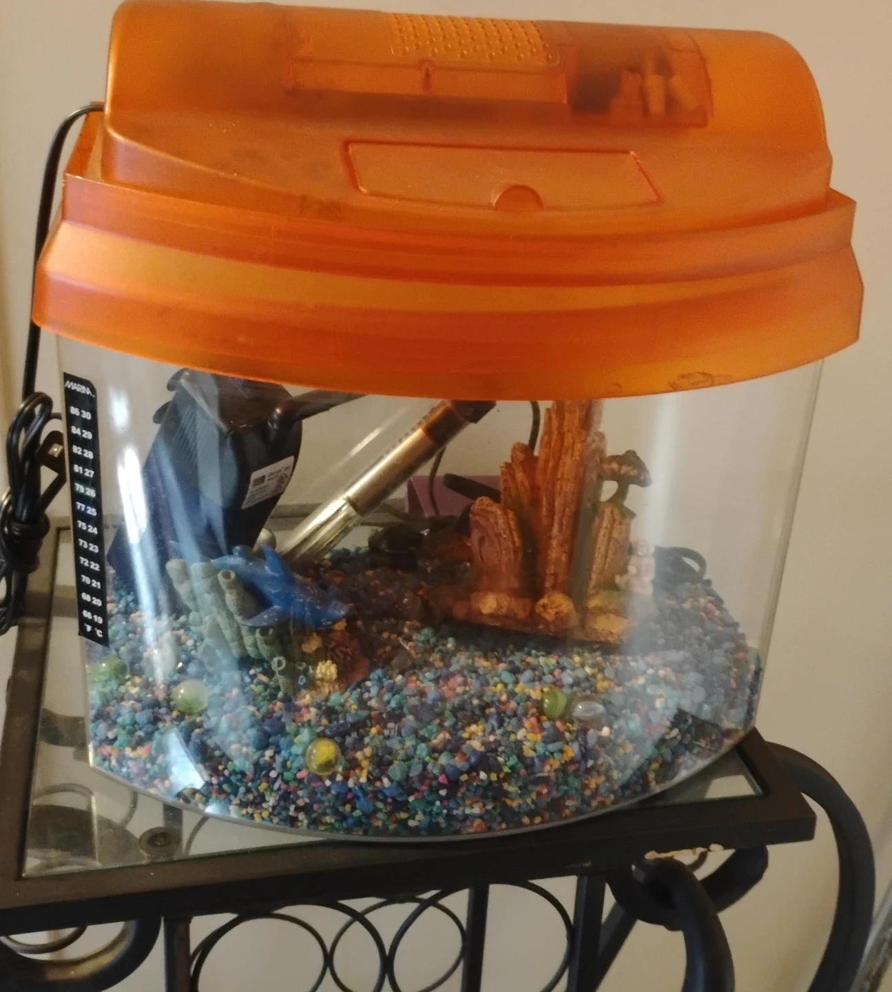 Marina Fish Tank