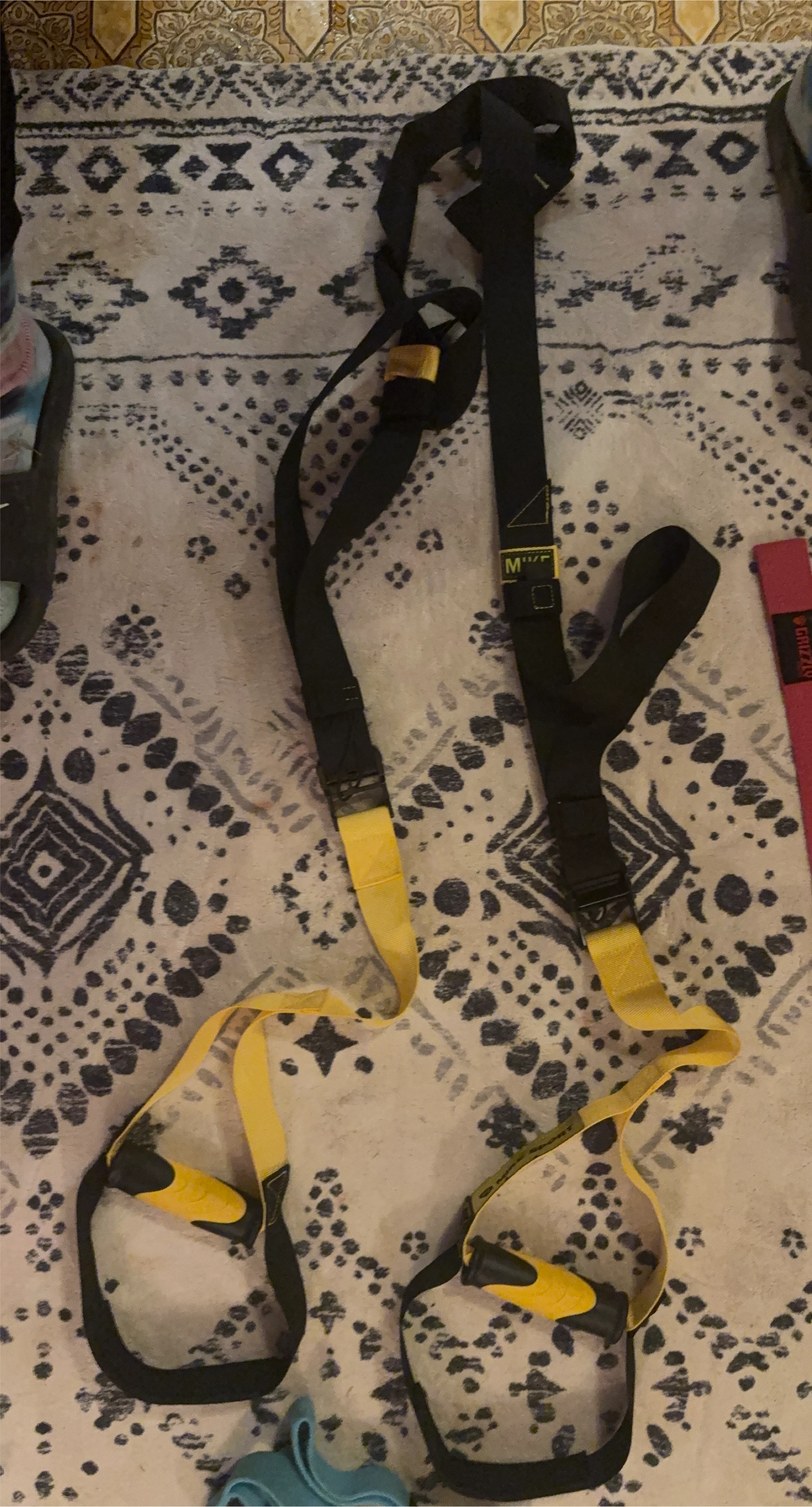 TRX Suspension Trainer
