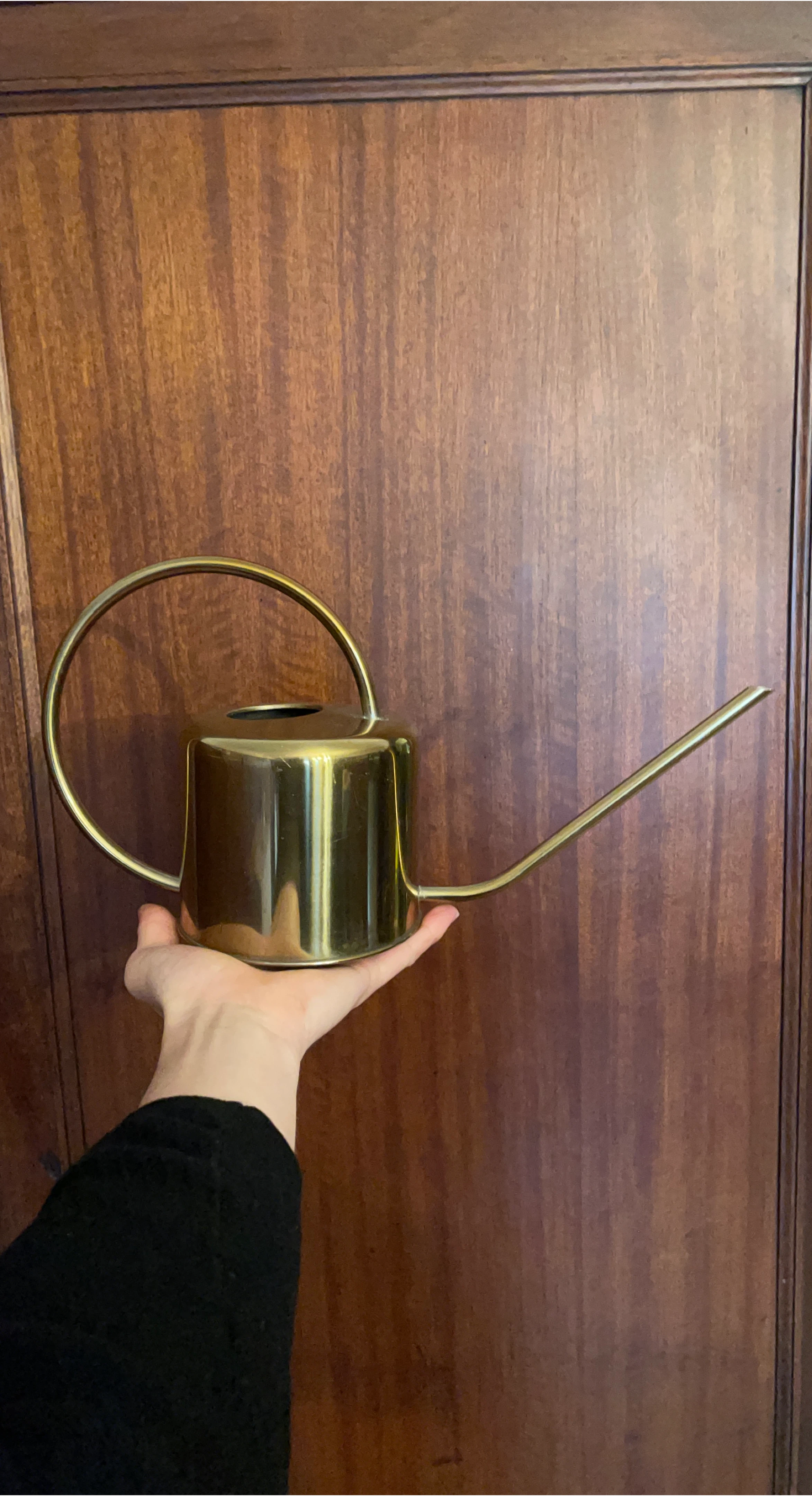 Gold Watering Can