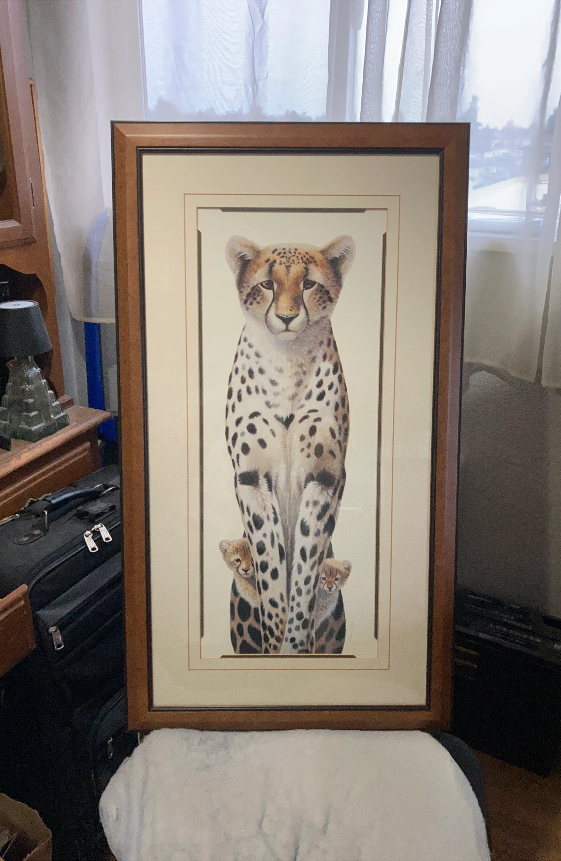Framed Cheetah Print