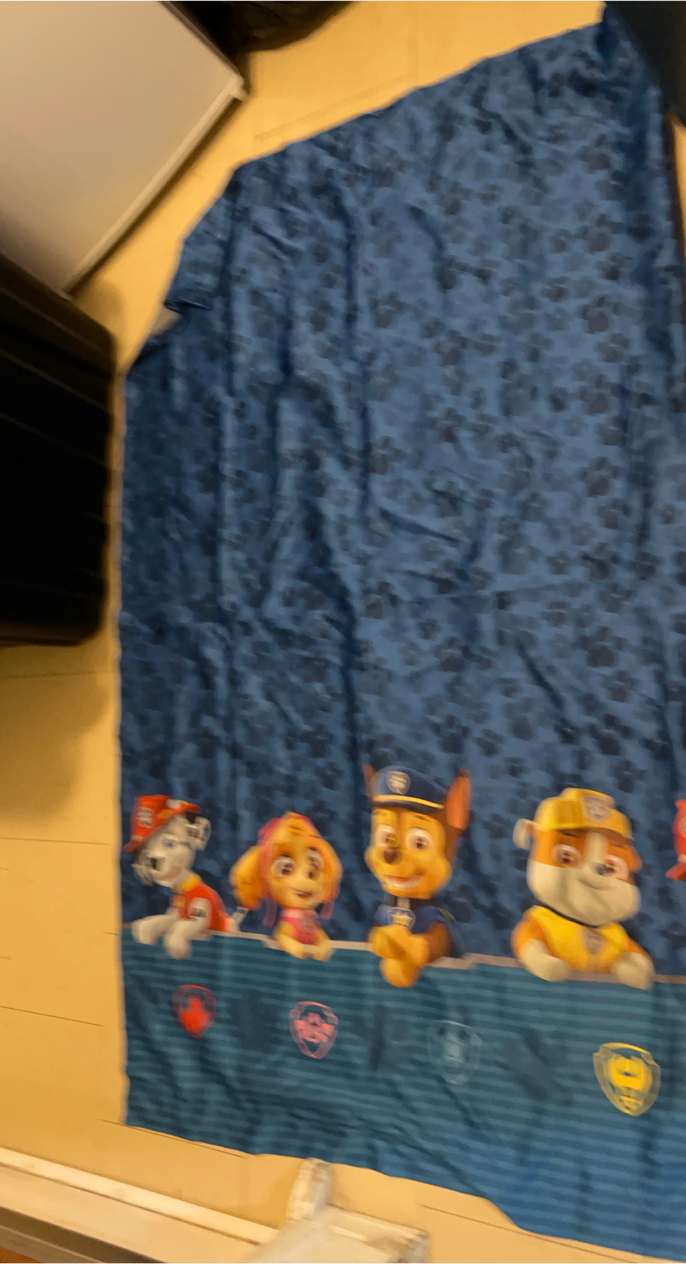 Paw Patrol Blue Curtain