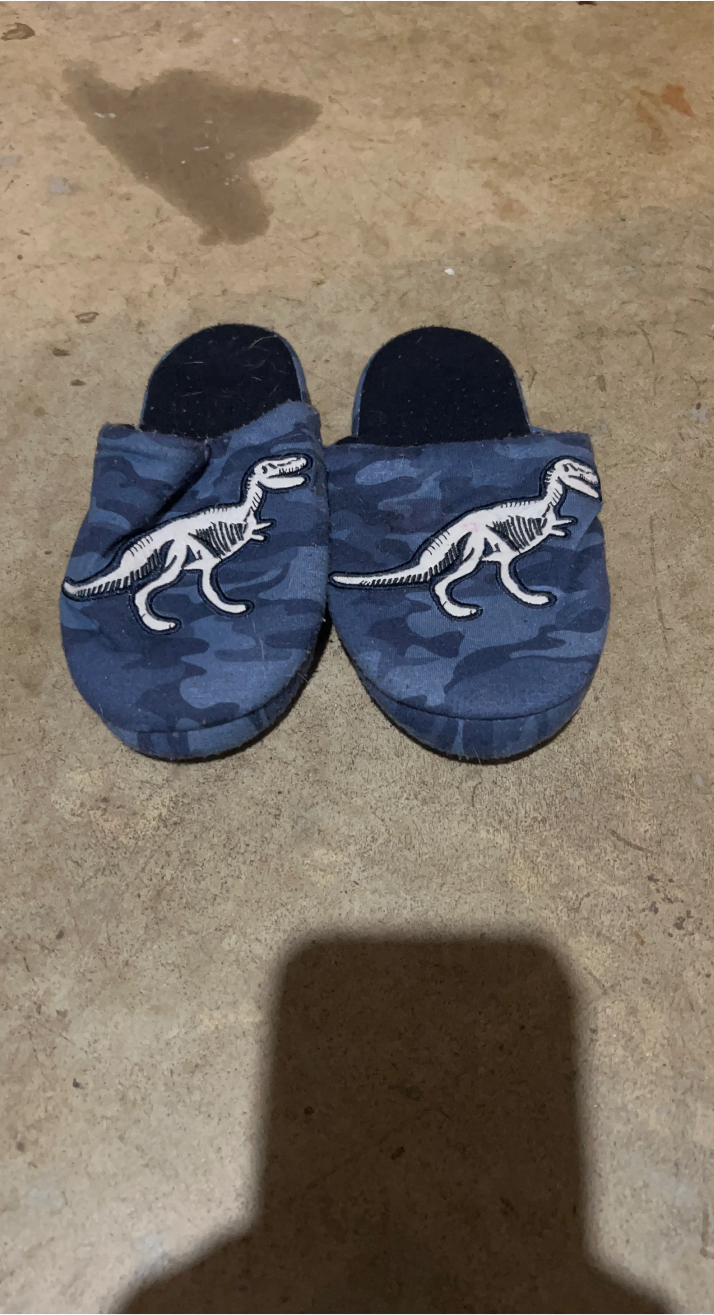 Dinosaur Slippers