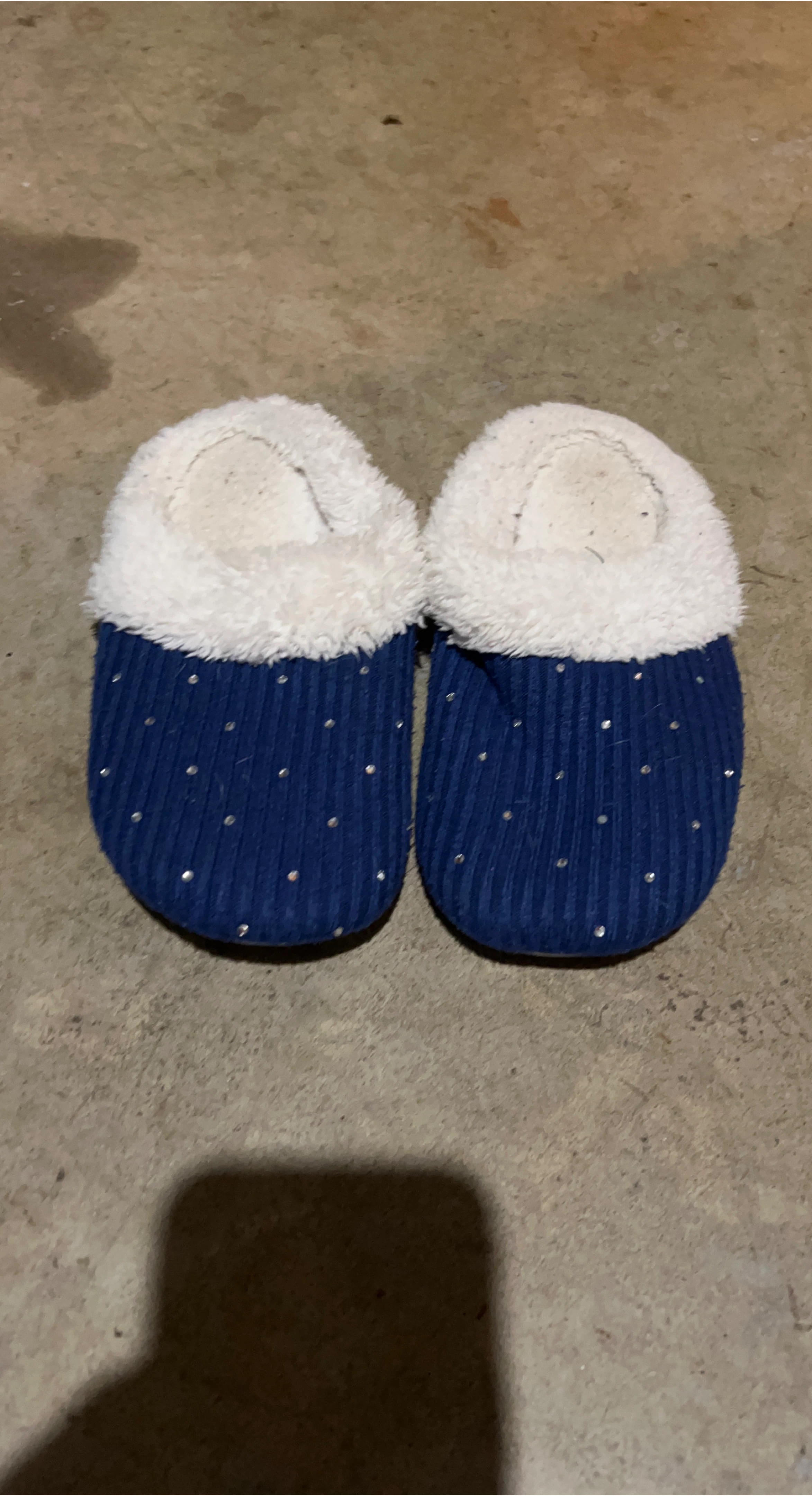 Blue slippers image indicator(1)
