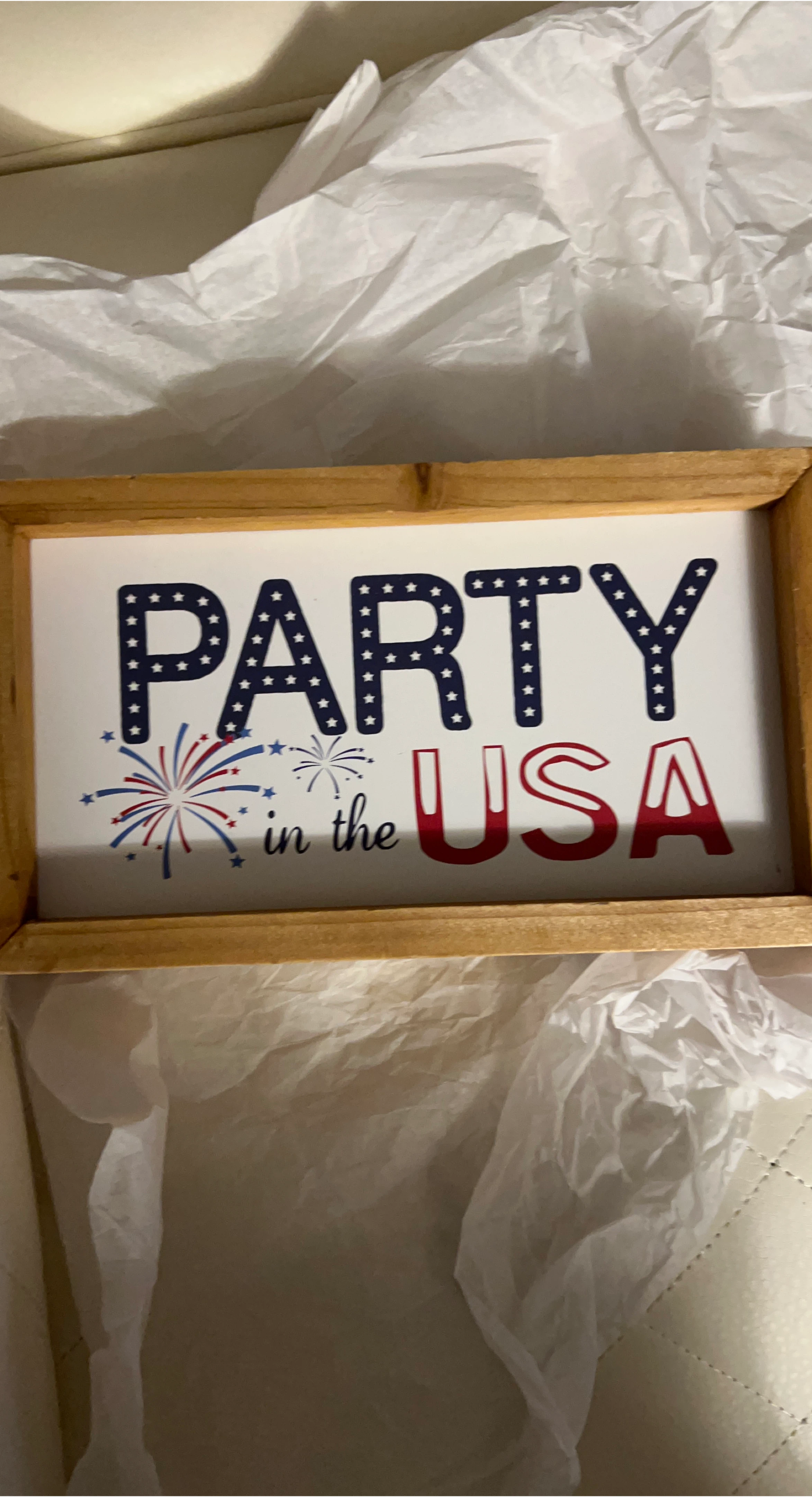 Party in the USA Sign