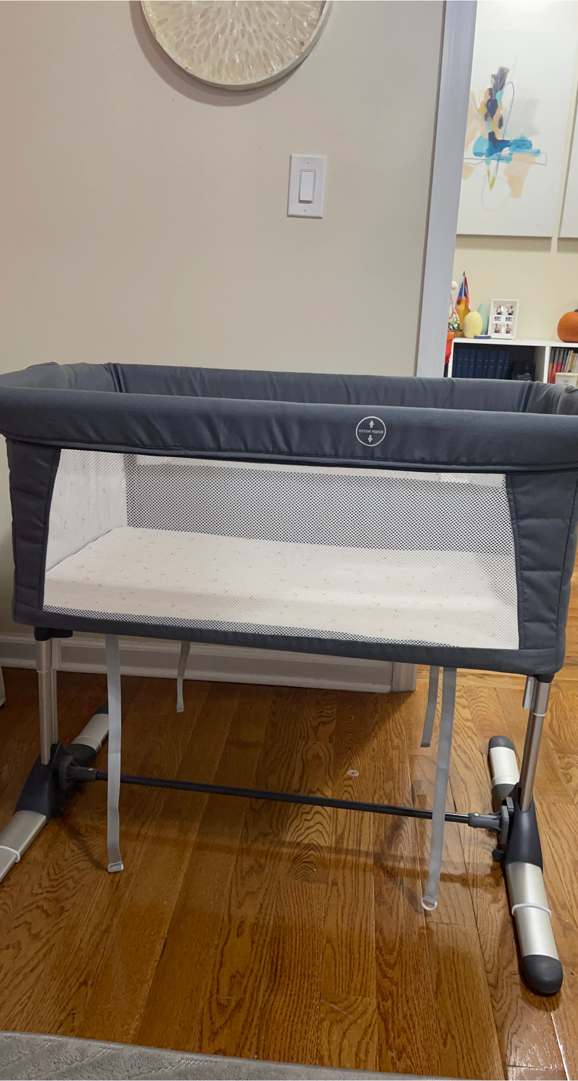 Arm's Reach Co-Sleeper Bassinet