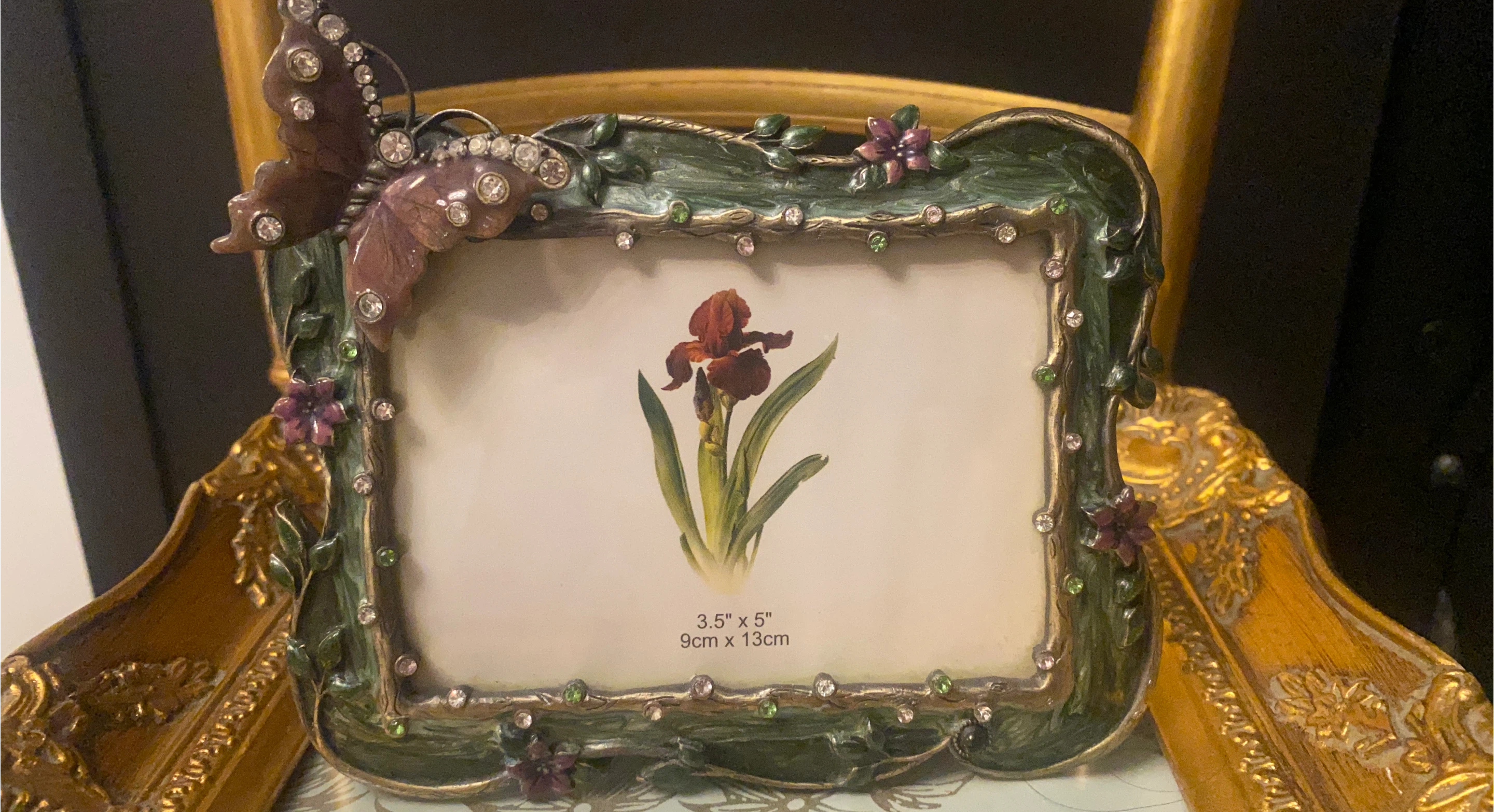 Butterfly Picture Frame 3.5"x5"