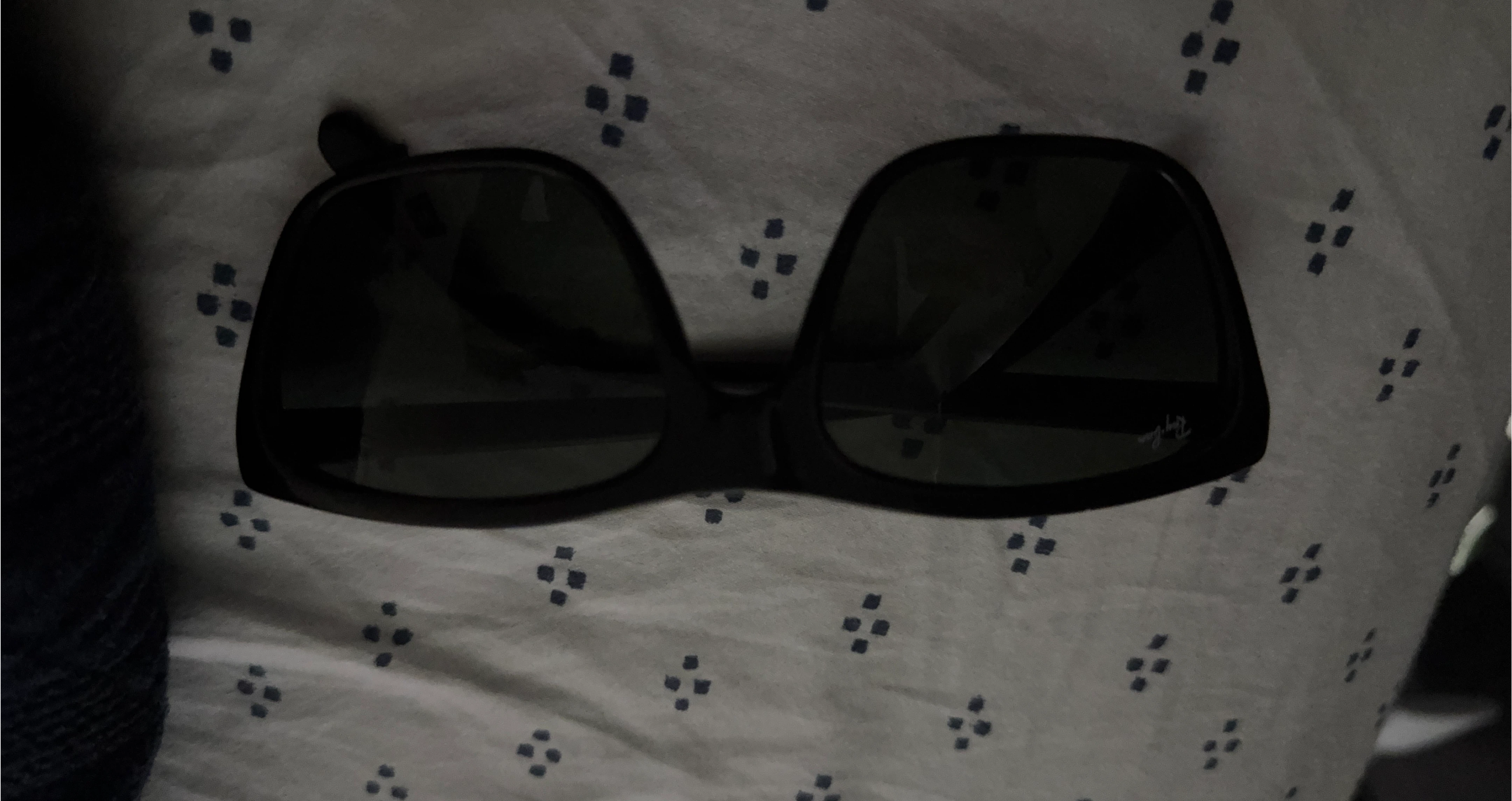 Ray-Ban Black Sunglasses