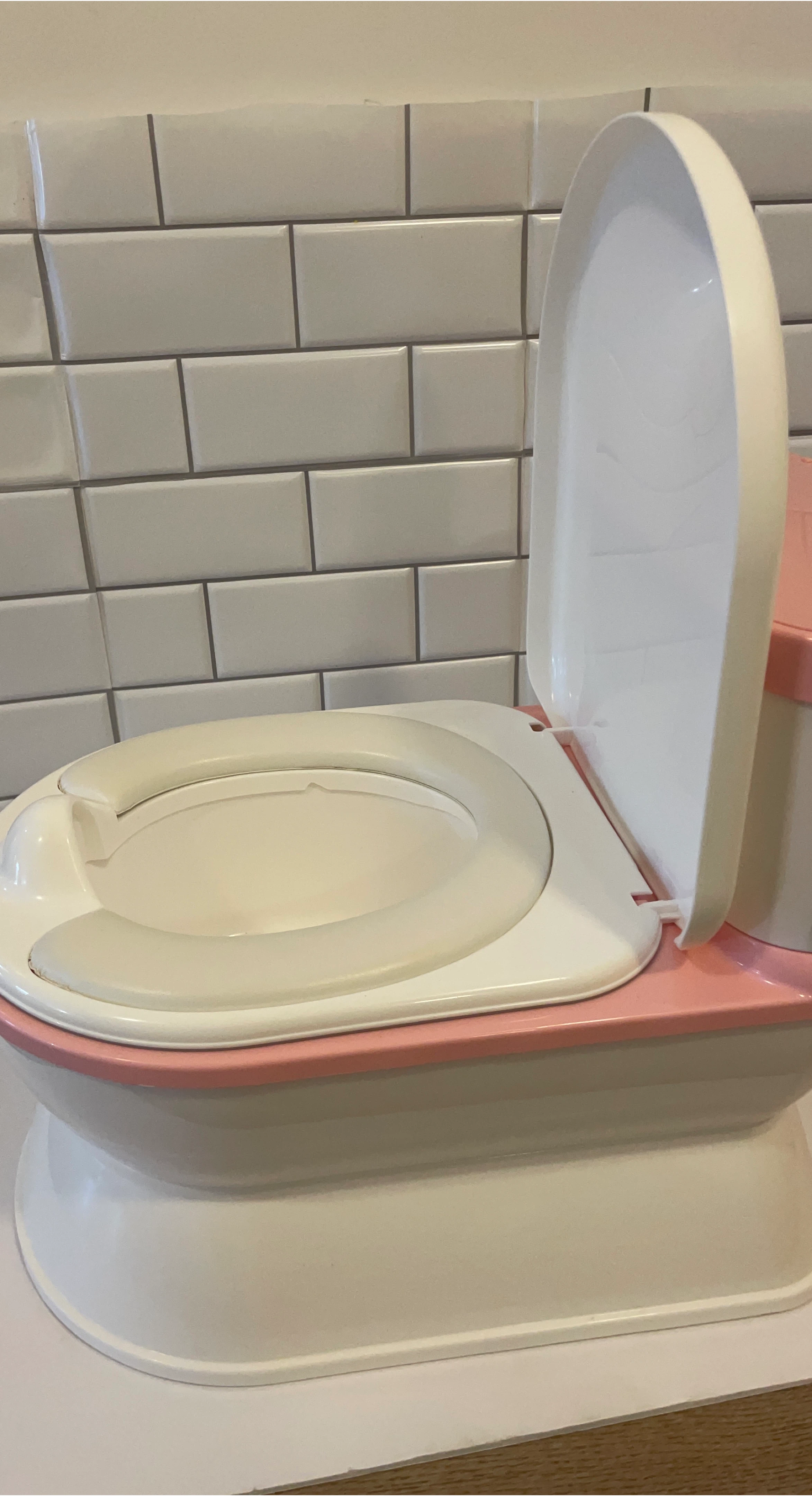 Pink & White Potty Training Toilet