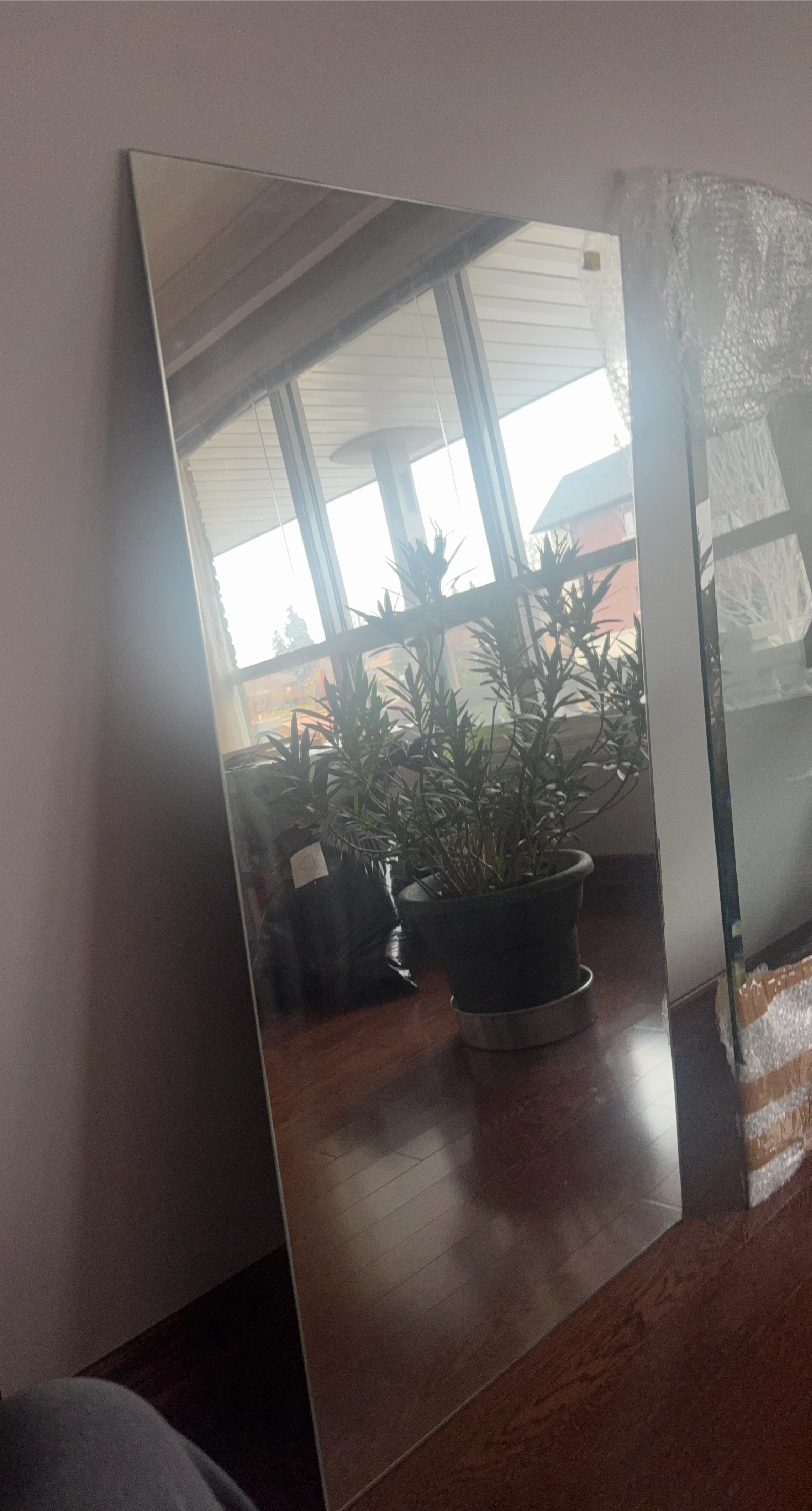 Large Frameless Wall Mirror 24x48 inches