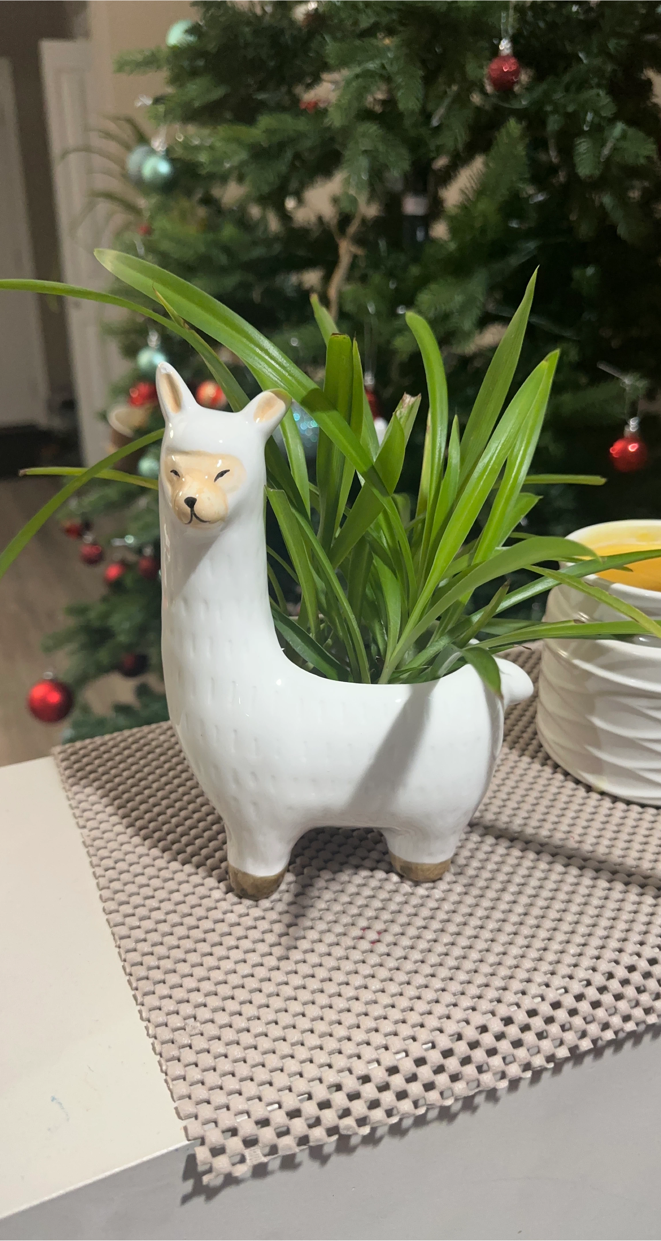 Cute Llama Ceramic Planter