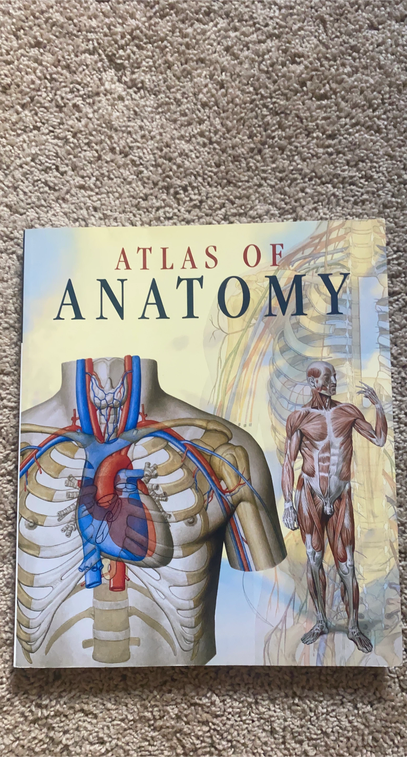 Atlas of Anatomy Book