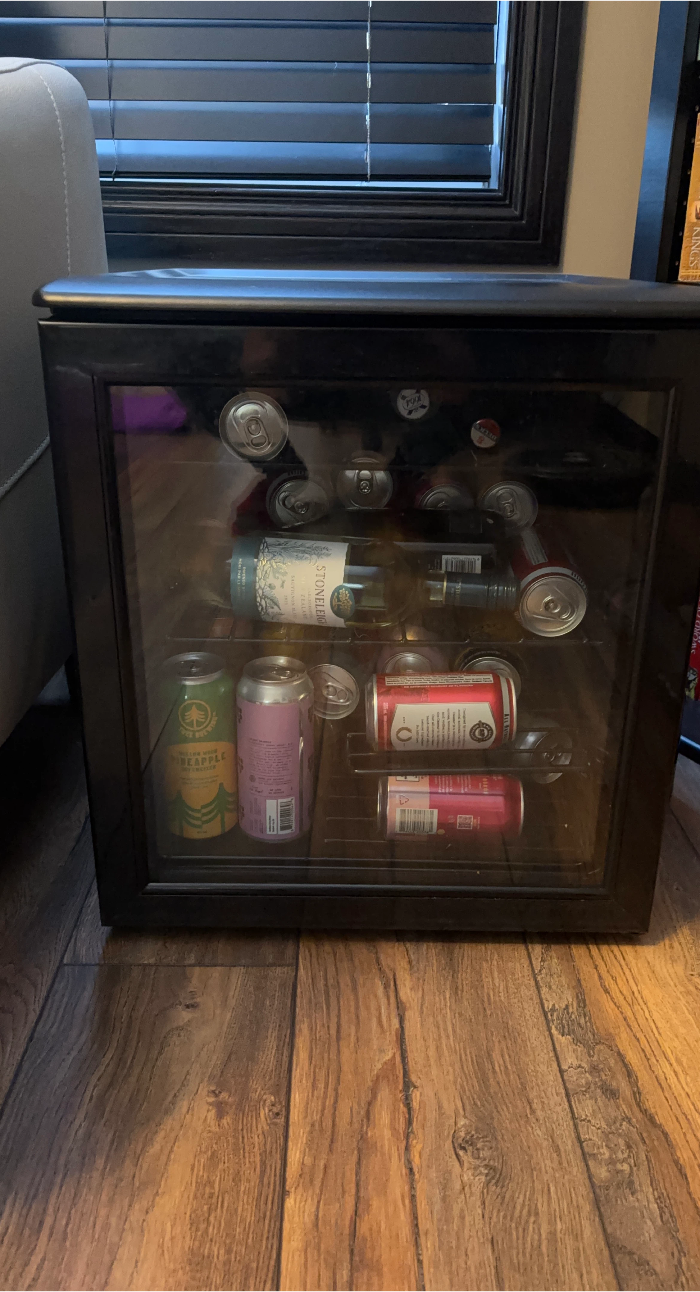 Mini Fridge