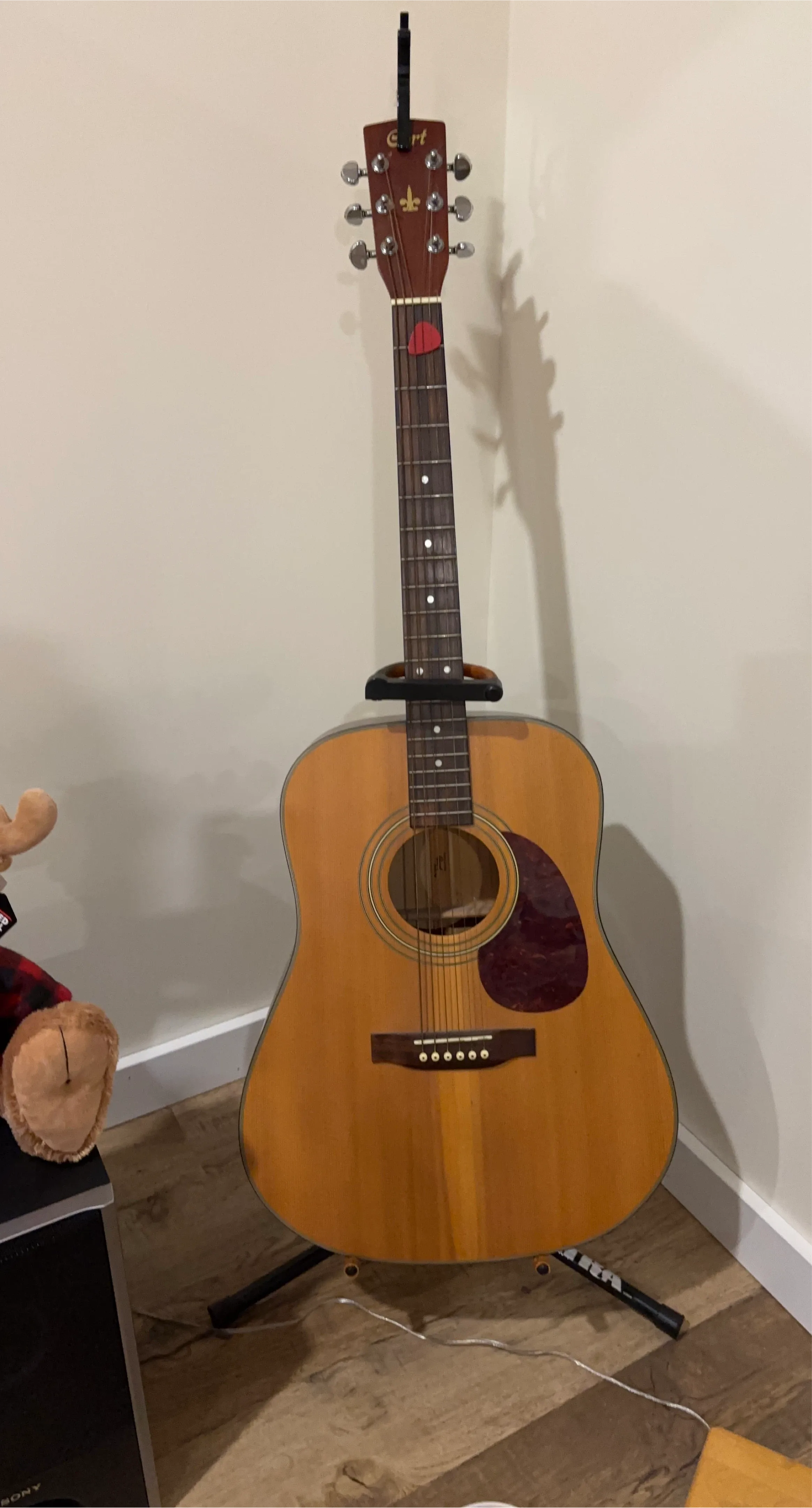 Cort Acoustic Guitar with Case