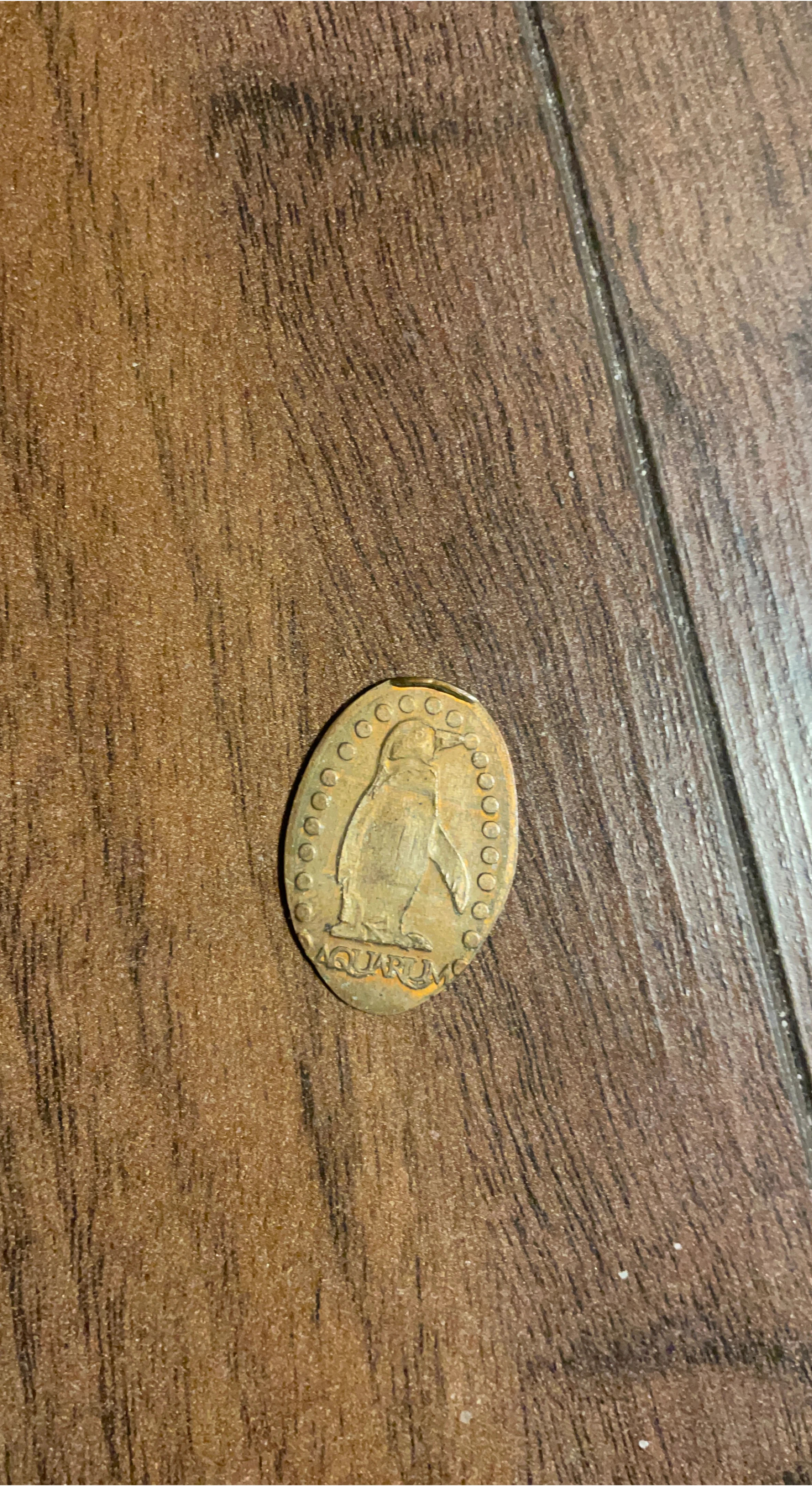 Vintage Humboldt Penguin Token