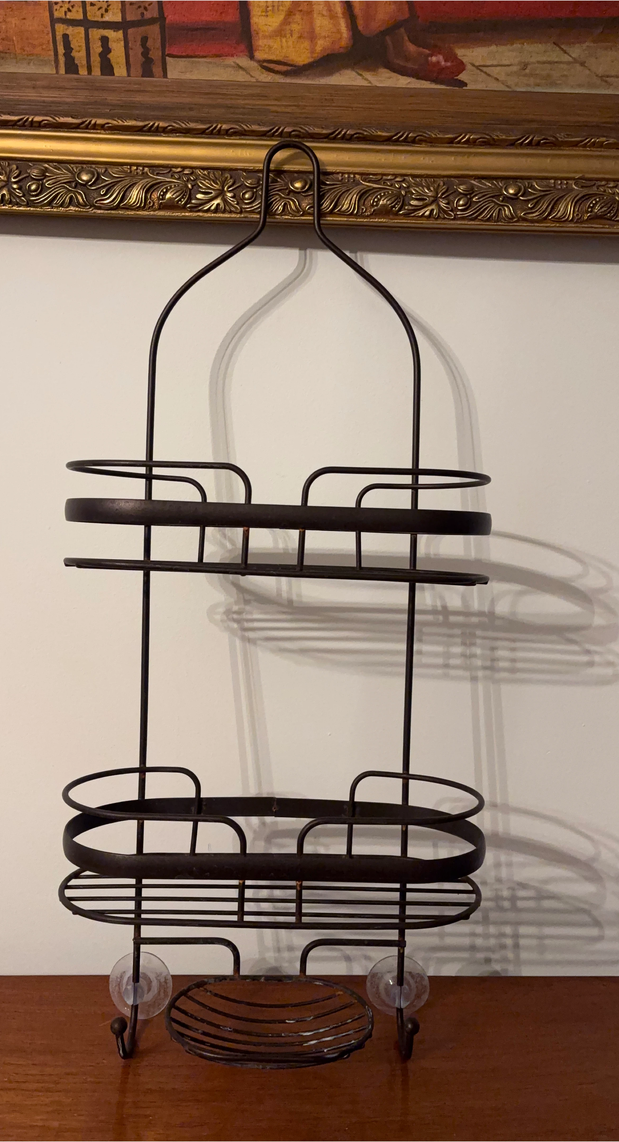 Over the Shower Head Caddy